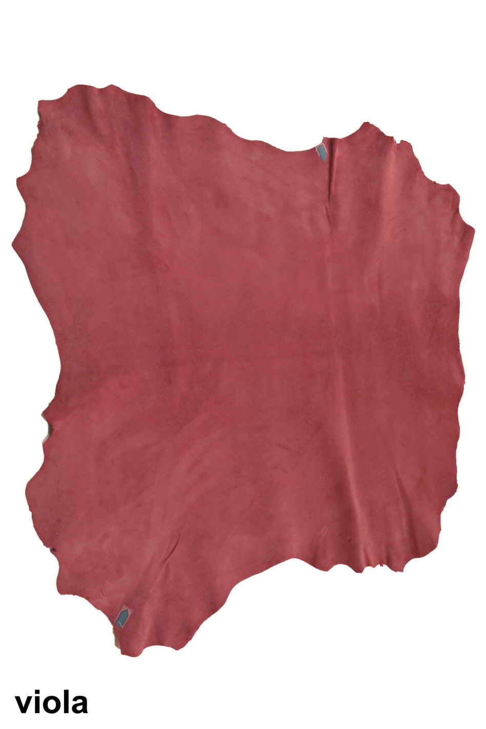 Colored suede leather hides, suede textured velour goatskin B11823-TU La Garzarara