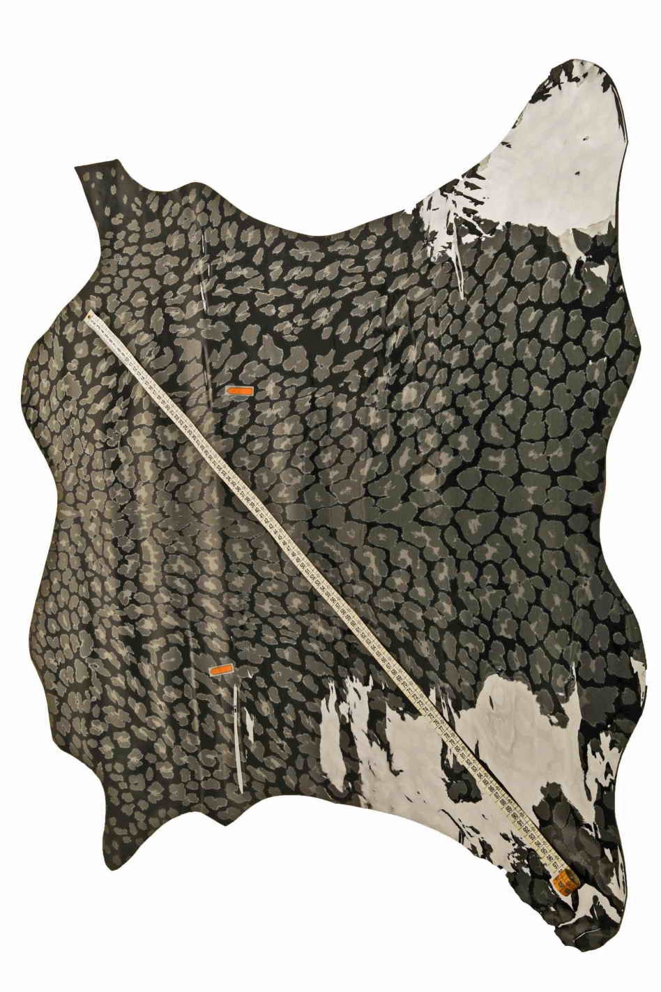 Cheetah print on black patent leather, glossy leopard goatskin, animal print black hides B12839-ST La Garzarara