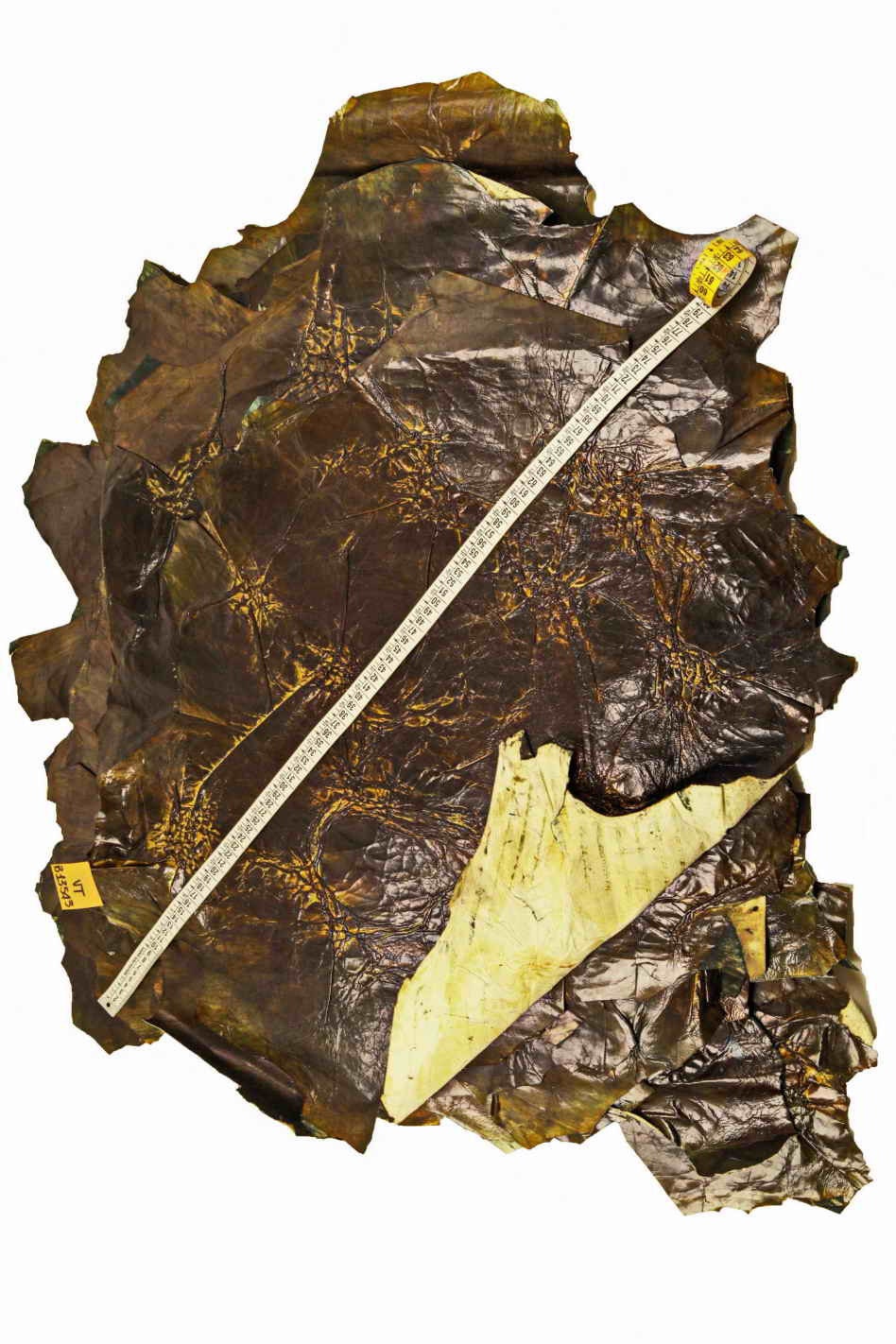 Hand crafted WRINKLED leather skins - distressed brown green yellow lambskin -vintage hides B13543-VT La Garzarara