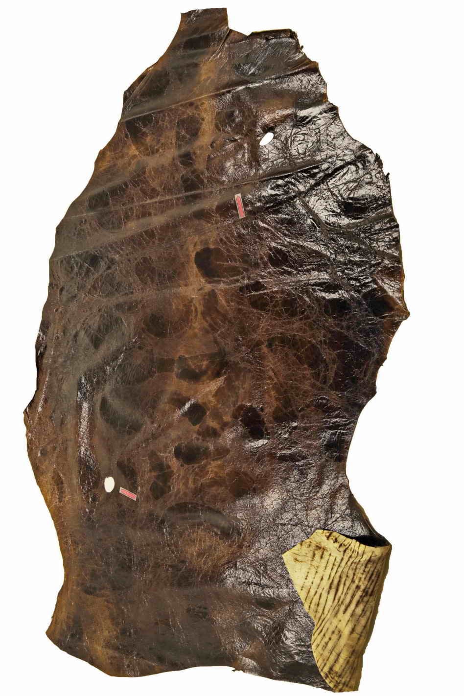 Pull Up chocolate leather skins, glossy wrinnkled distressed GOATSKIN, vintage aged hide B13541-VT La Garzarara