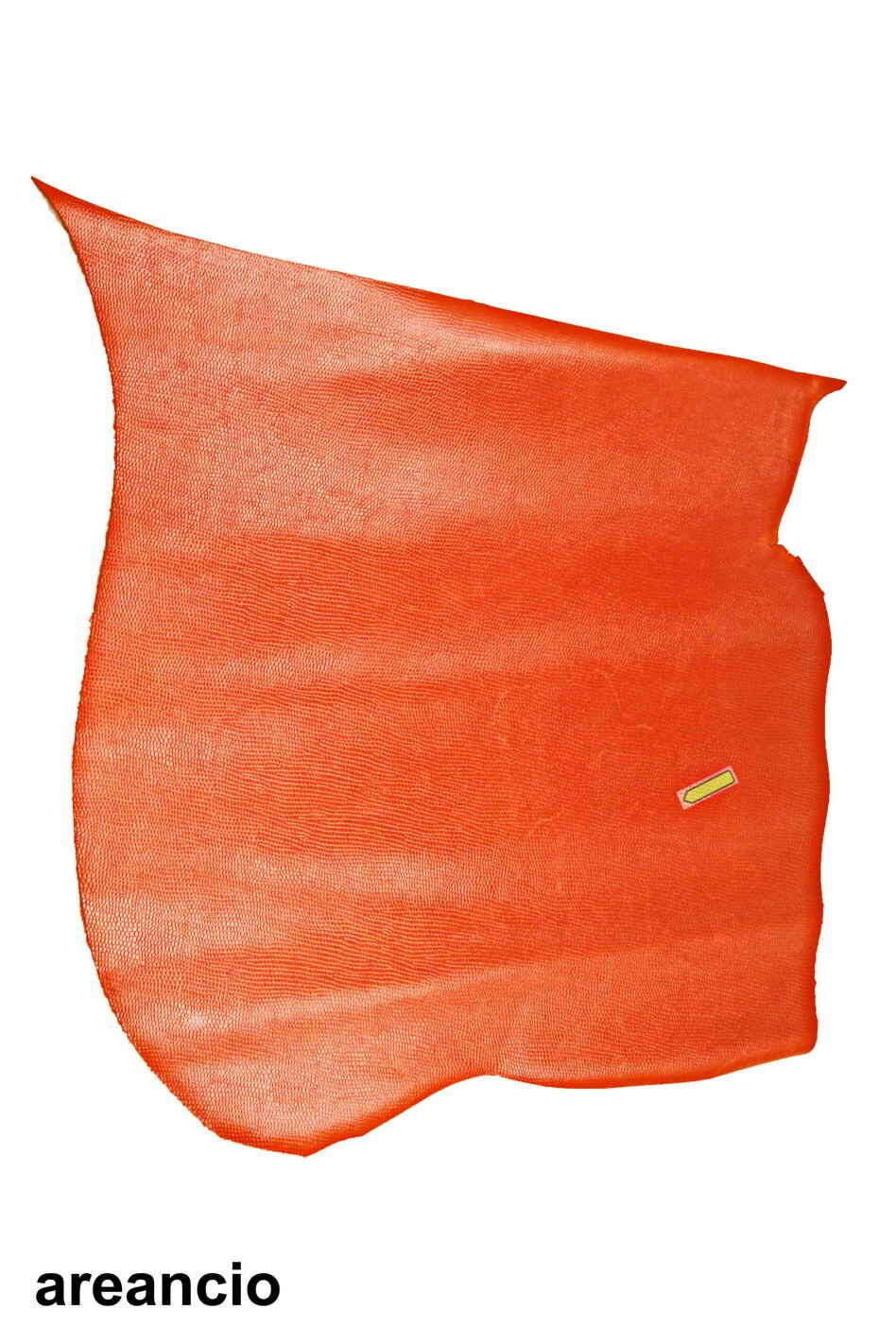 LIZARD embossed LEATHER hide, beige, pistachio grey, orange, burgundy, pearl grey tejus printed calfskin, glossy skin B13989-ST La Garzarara