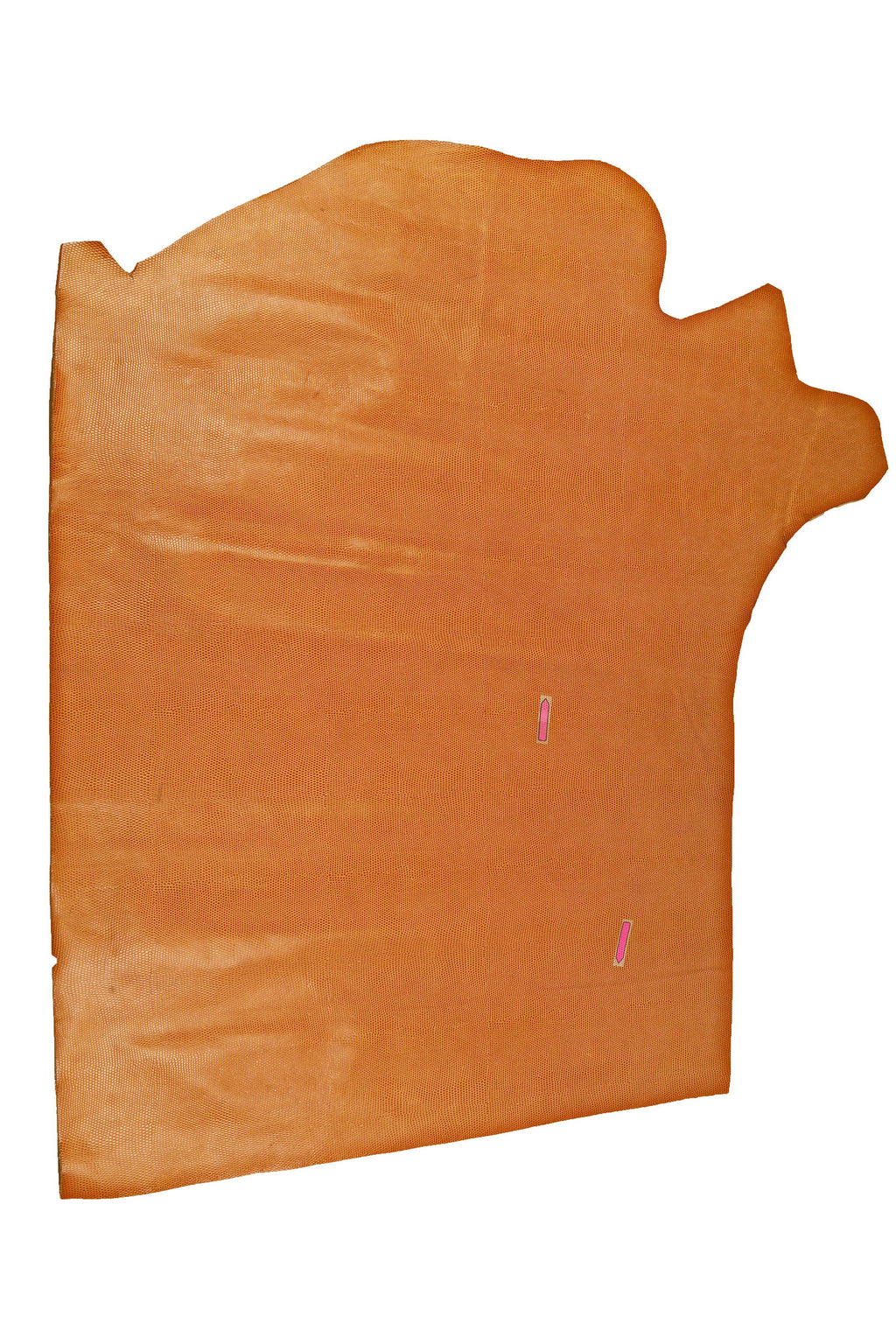 TAN LIZARD printed leather hide, light brown embossed calfskin, glossy stiff classic cowhide B14573-ST La Garzarara