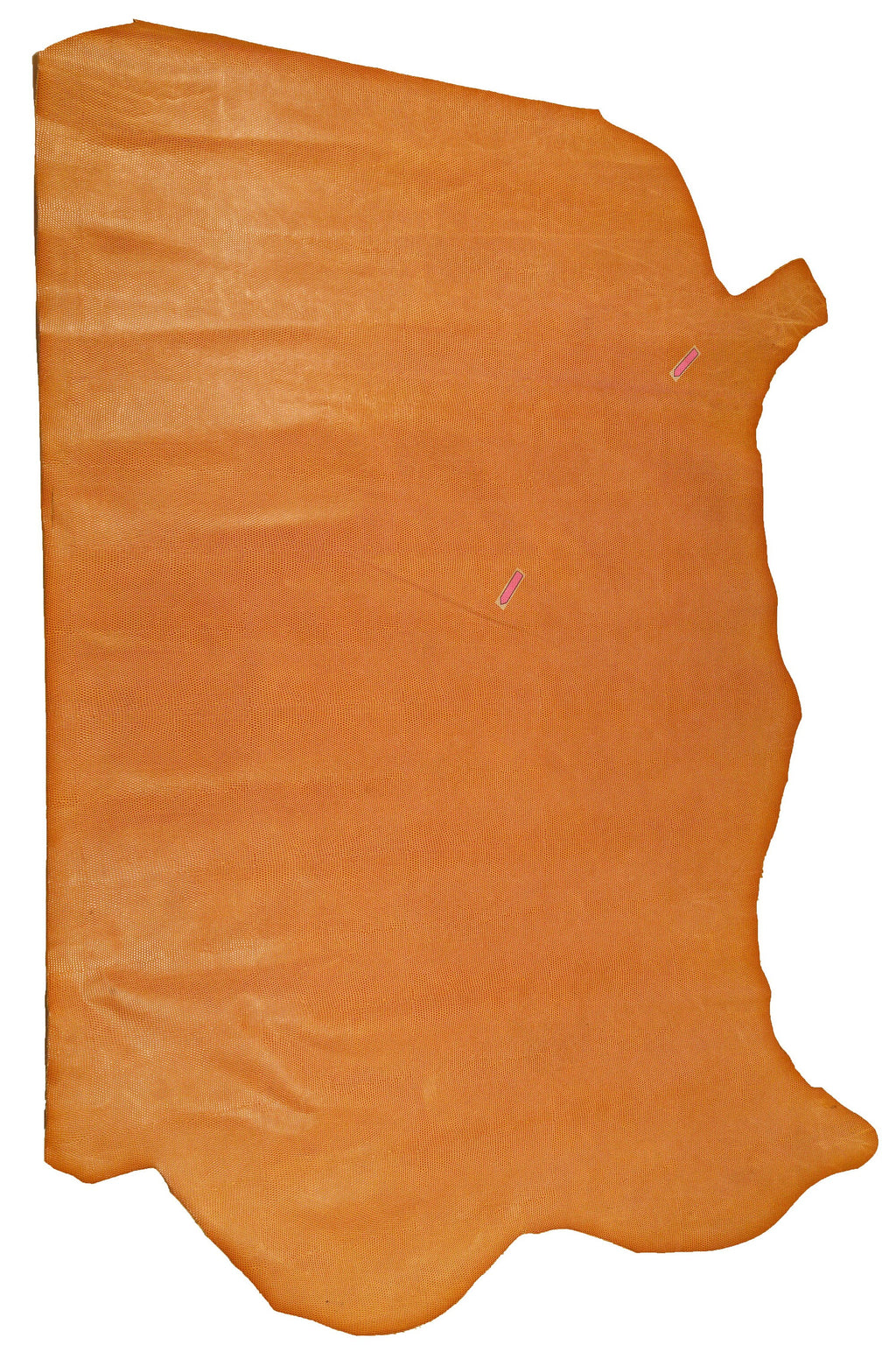 TAN LIZARD printed leather hide, light brown embossed calfskin, glossy stiff classic cowhide B14573-ST La Garzarara