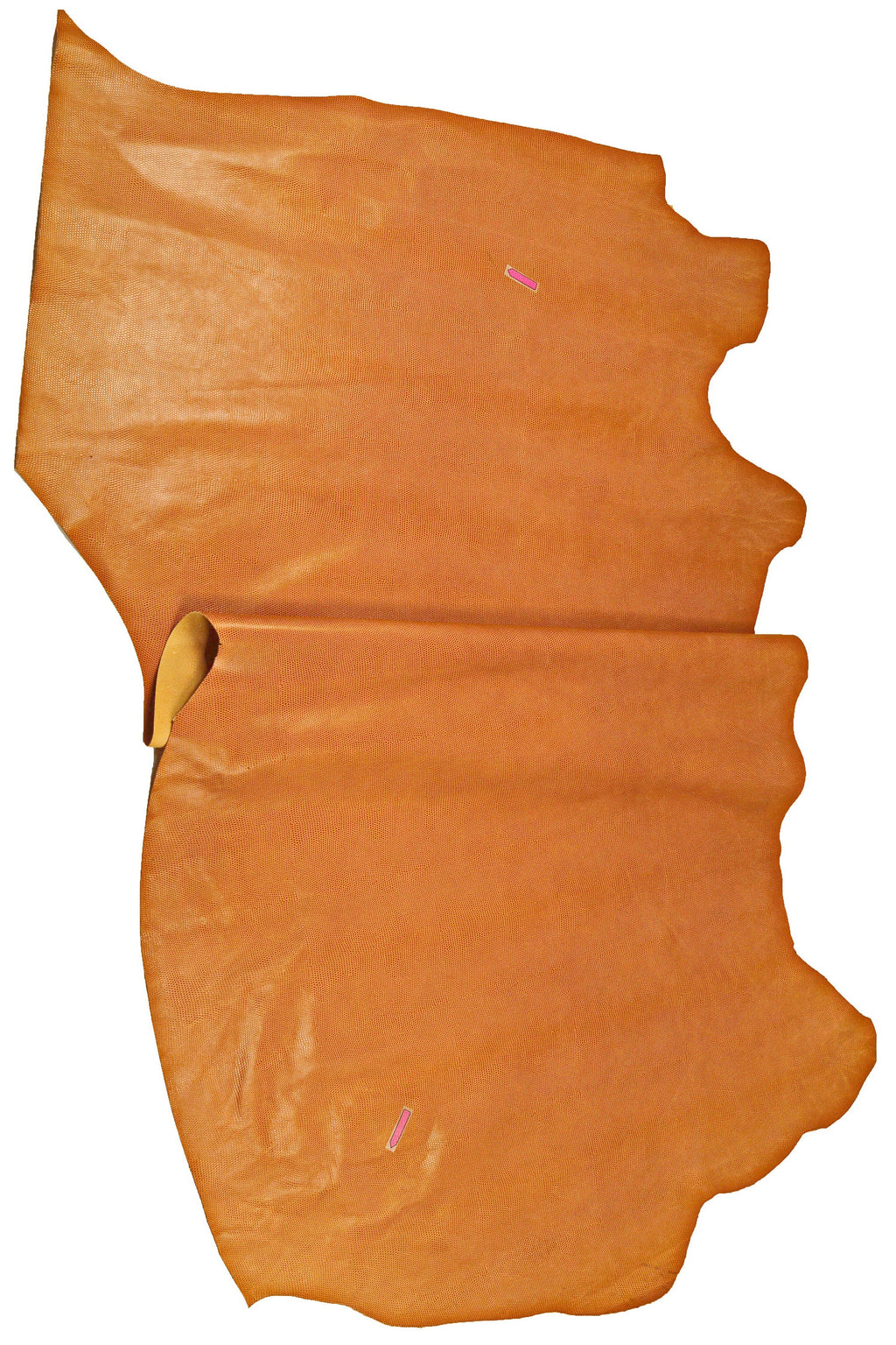 TAN LIZARD printed leather hide, light brown embossed calfskin, glossy stiff classic cowhide B14573-ST La Garzarara
