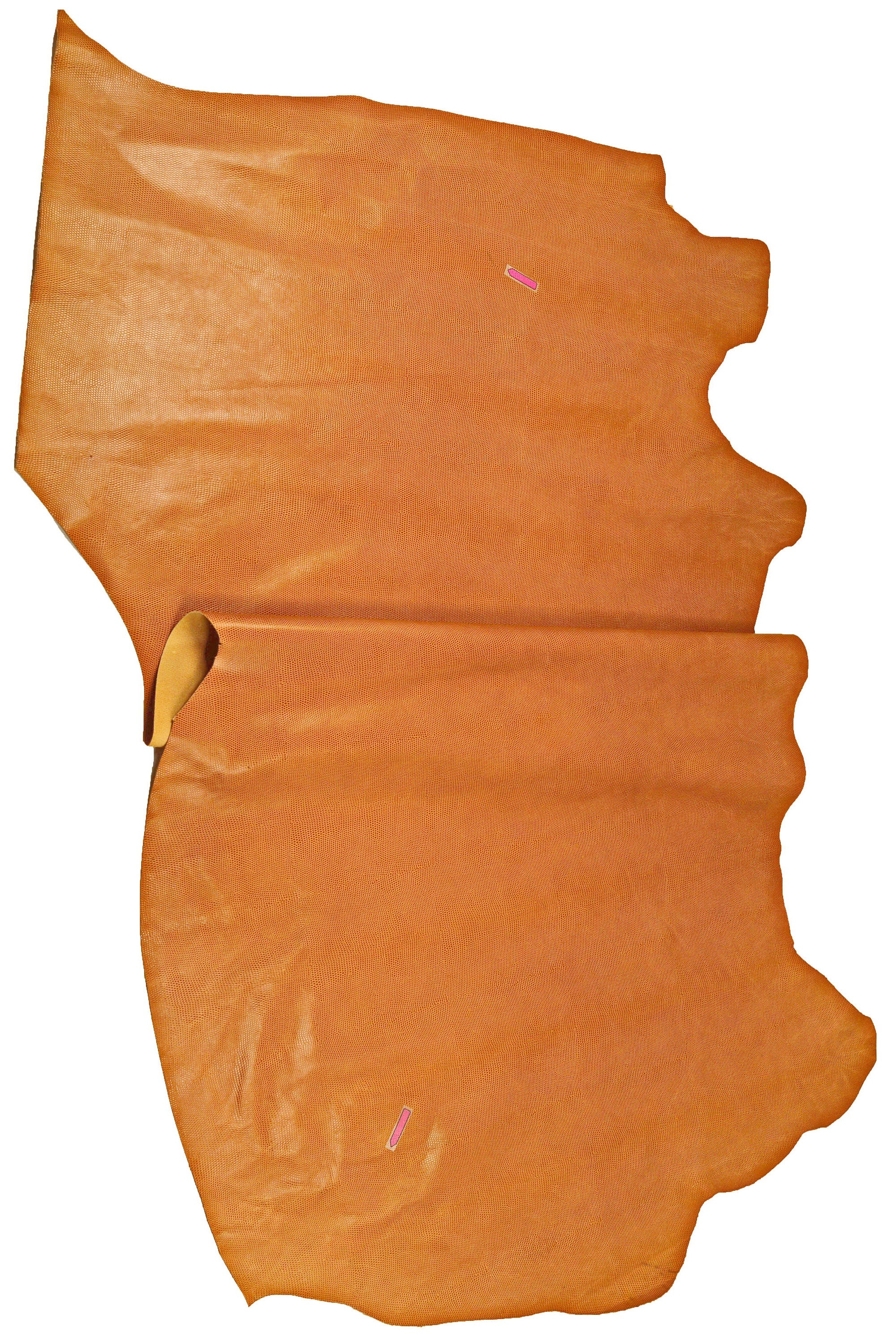 TAN LIZARD printed leather hide, light brown embossed calfskin, glossy stiff classic cowhide B14573-ST La Garzarara