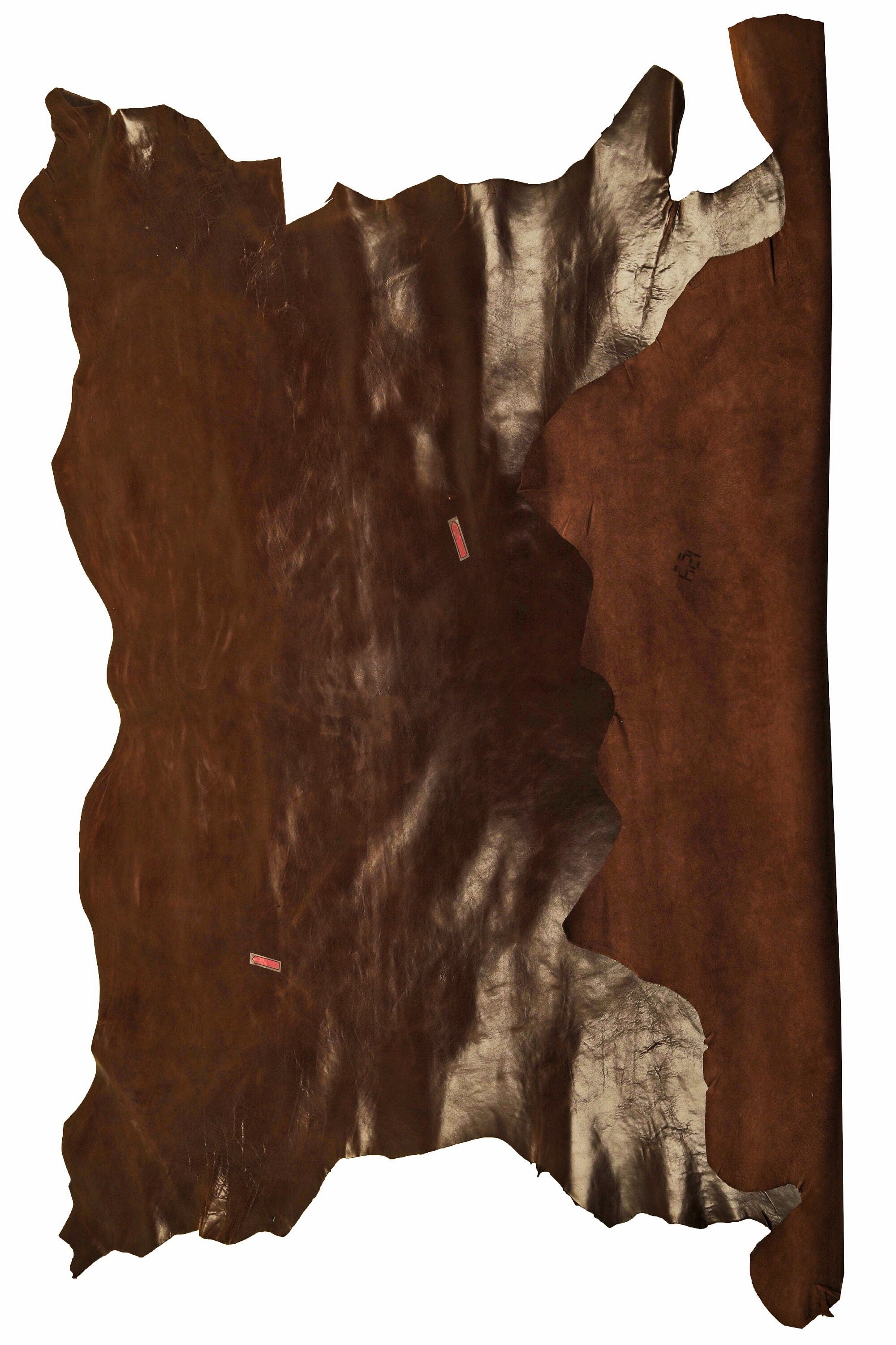 BROWN veg tan CALF leather hide – glossy smooth dark brown sporty cowhide skin, slightly stiff with light wrinkles B14789-TU La Garzarara