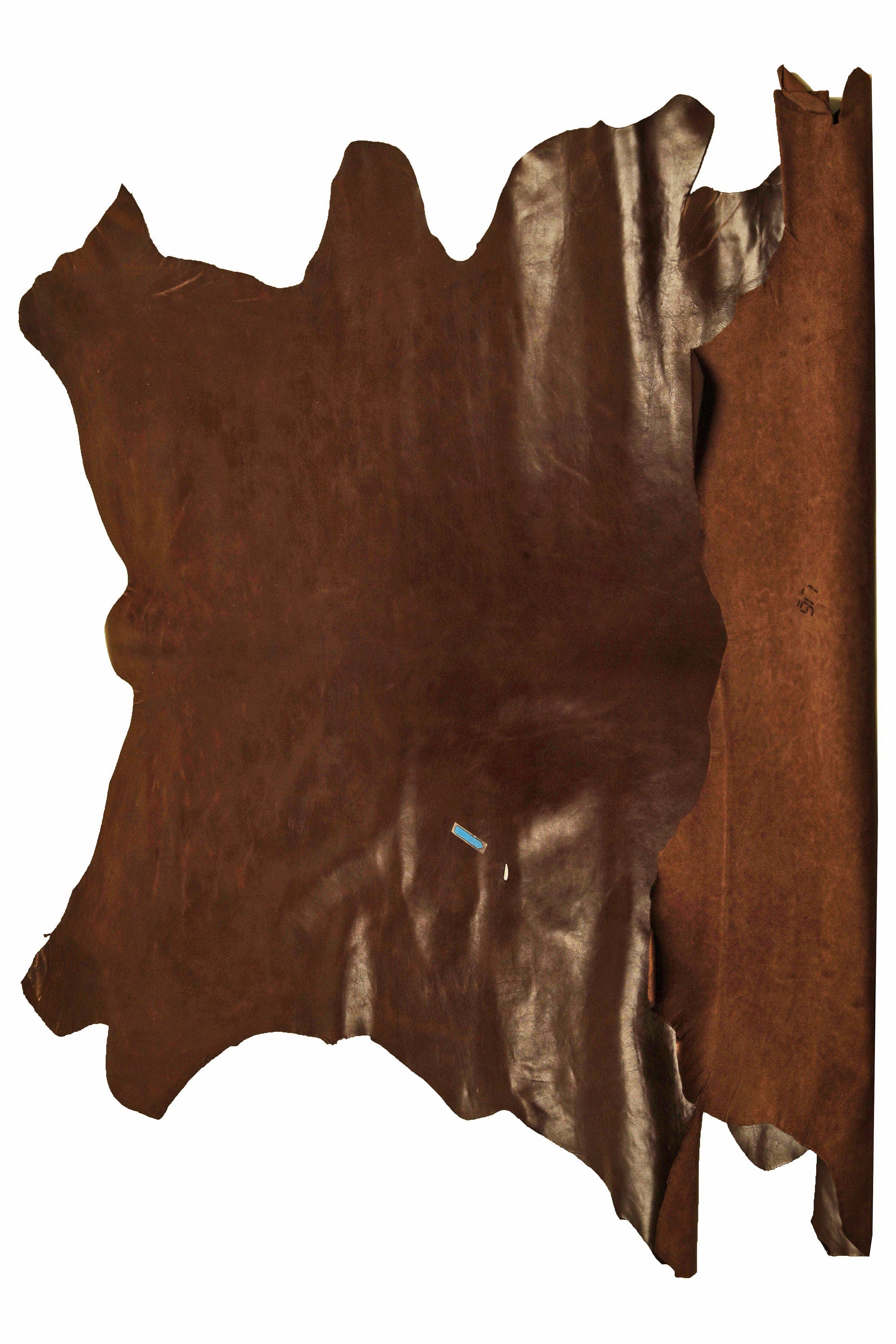 BROWN veg tan CALF leather hide – glossy smooth dark brown sporty cowhide skin, slightly stiff with light wrinkles B14789-TU La Garzarara