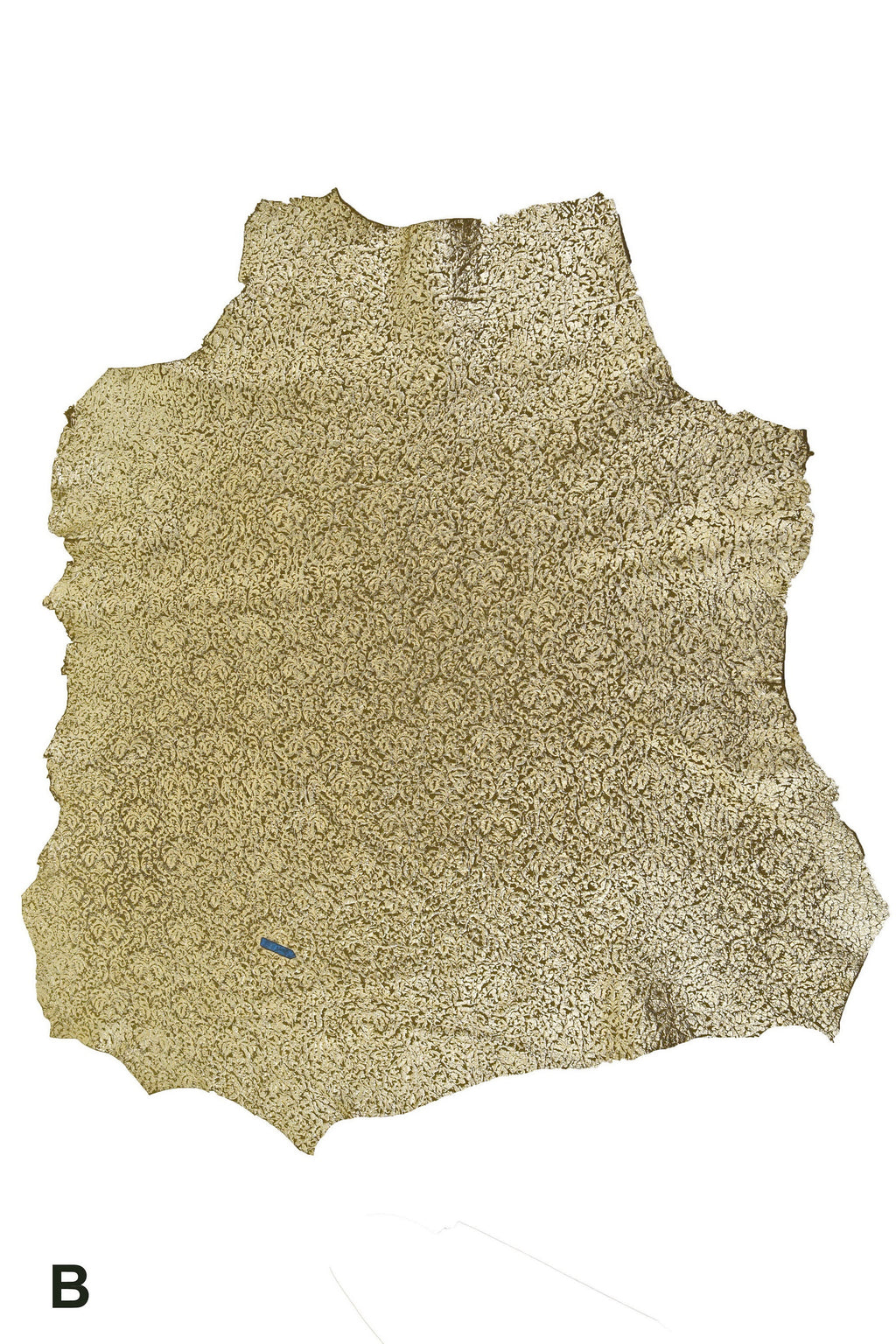 Raised print goatskin leather, green beige metallic stamped skin, bright embossed nubuck goat B15999-MT(ST) La Garzarara