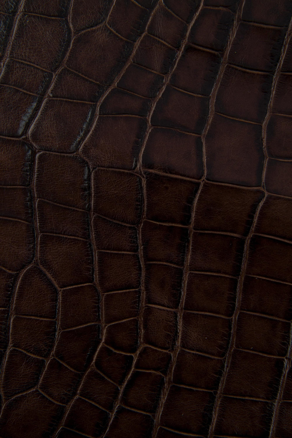 Brown CROCODILE embossed leather hide, animal printed glossy calfskin, stiff cowhide 0.8 - 1.0 mm B17465-ST La Garzarara