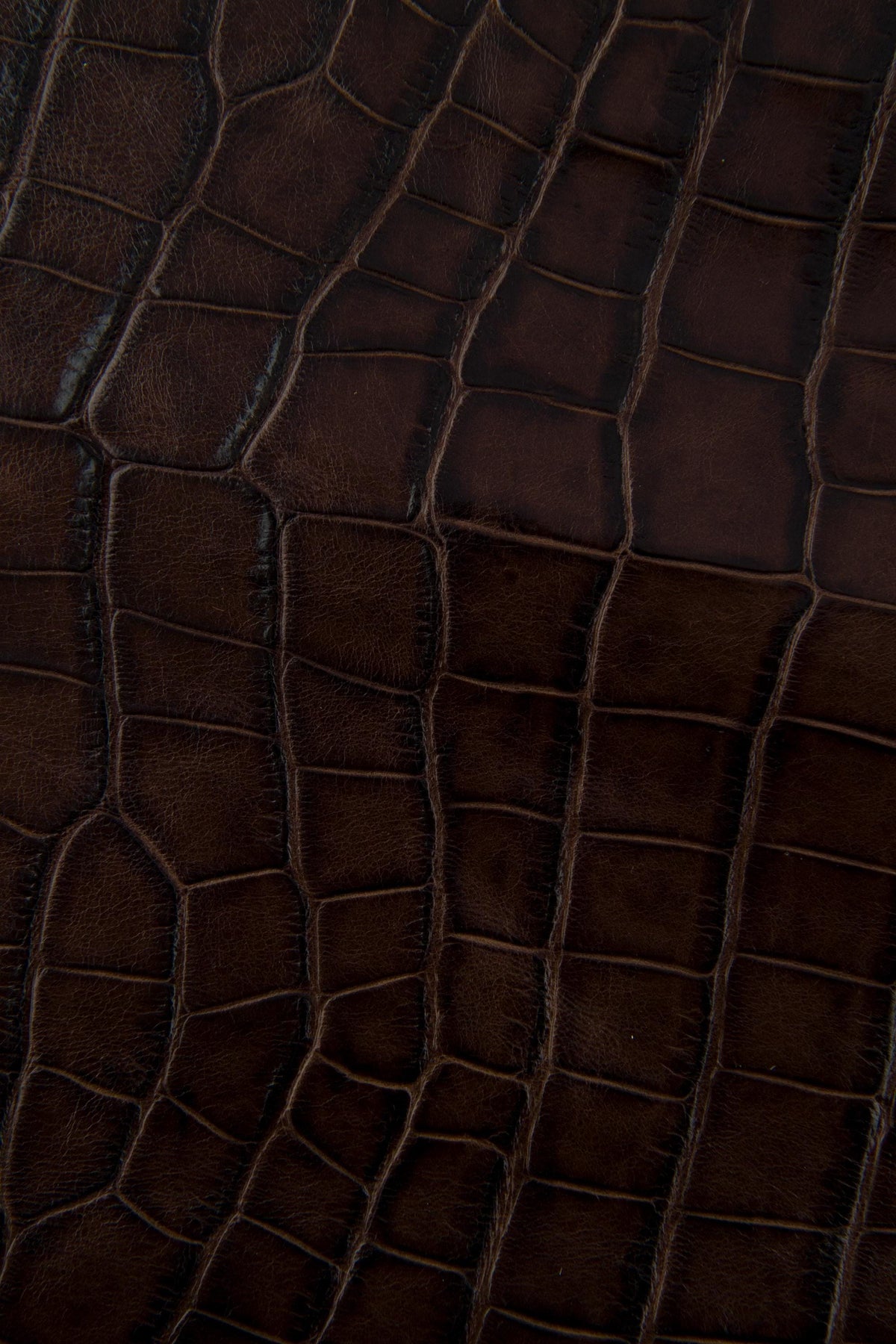 Brown CROCODILE embossed leather hide, animal printed glossy calfskin, stiff cowhide 0.8 - 1.0 mm B17465-ST La Garzarara
