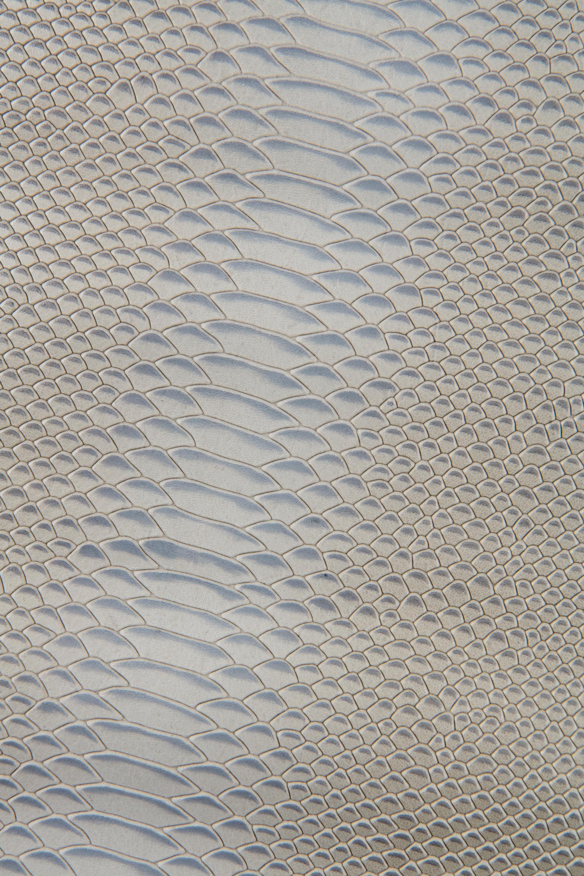 Grey REPTILE embossed leather skin, semi glossy python snake printed goatskin, gray animal pattern on soft hide B17481-ST La Garzarara