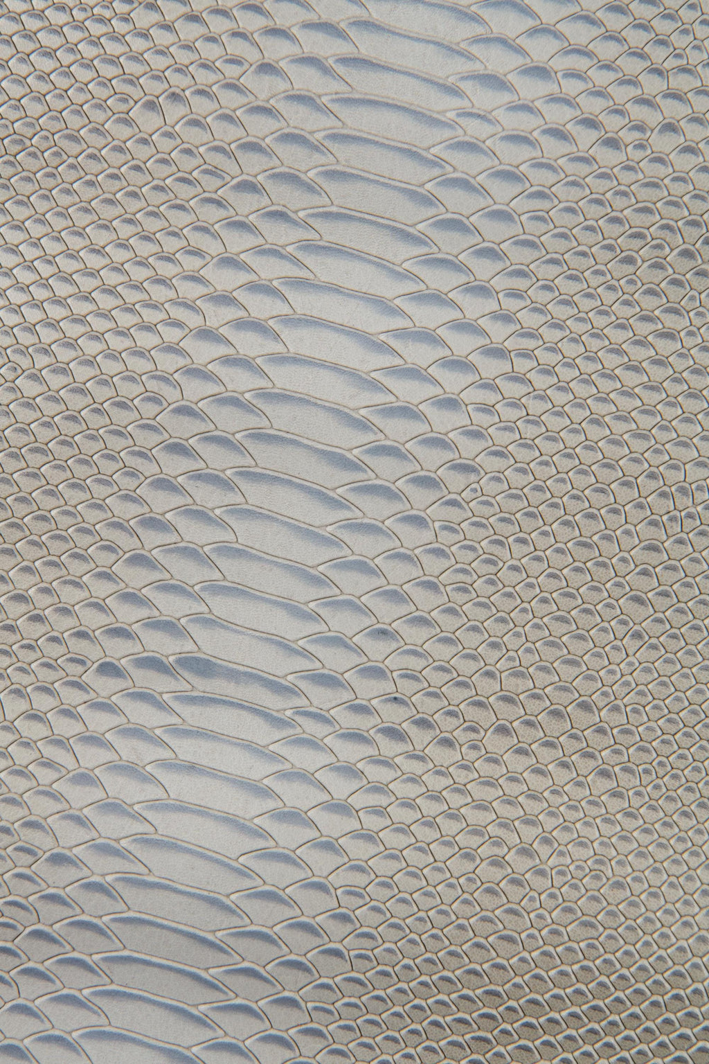 Grey REPTILE embossed leather skin, semi glossy python snake printed goatskin, gray animal pattern on soft hide B17481-ST La Garzarara