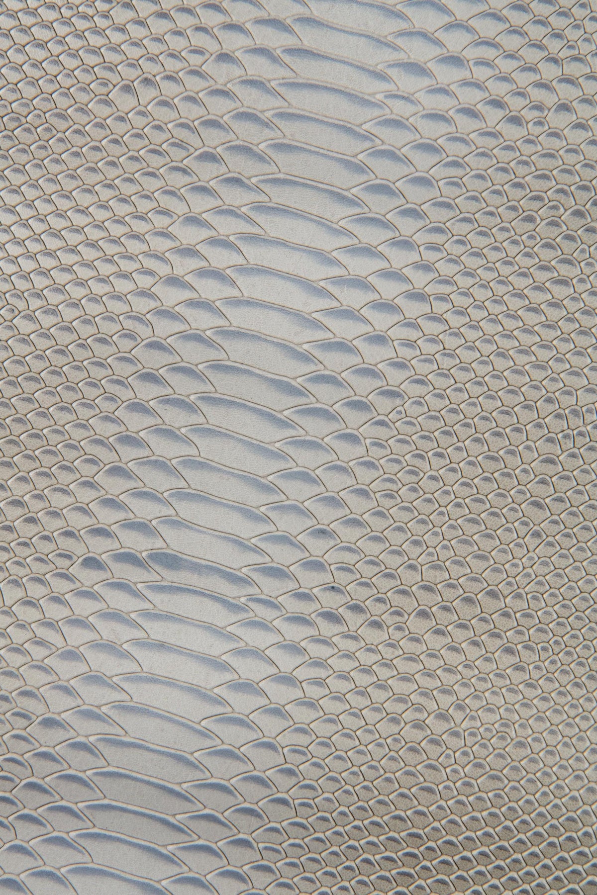 Grey REPTILE embossed leather skin, semi glossy python snake printed goatskin, gray animal pattern on soft hide B17481-ST La Garzarara