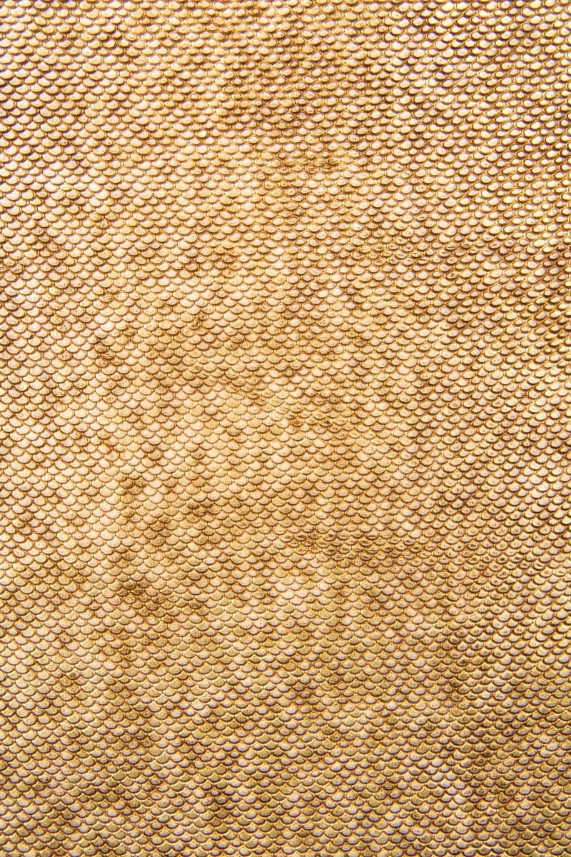 Fine Lizard Embossed cow leather, Metallic Gold Leather Hide, Soft Italian textured skin B17376-MT(st) La Garzarara