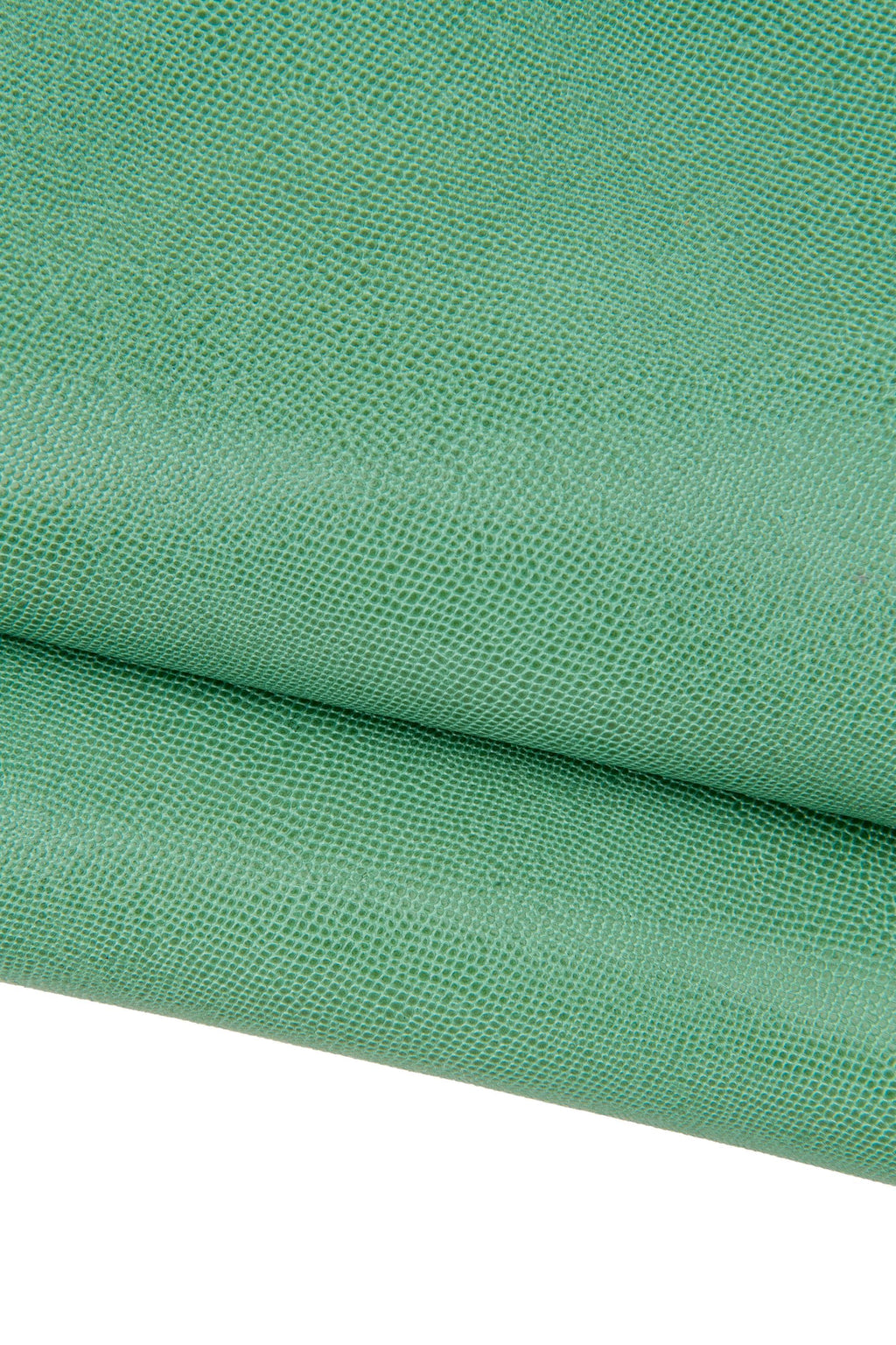 Sage green lizard embossed leather hide, mint goat skin fine reptile print glossy soft 0.8 mm B17642-ST La Garzarara