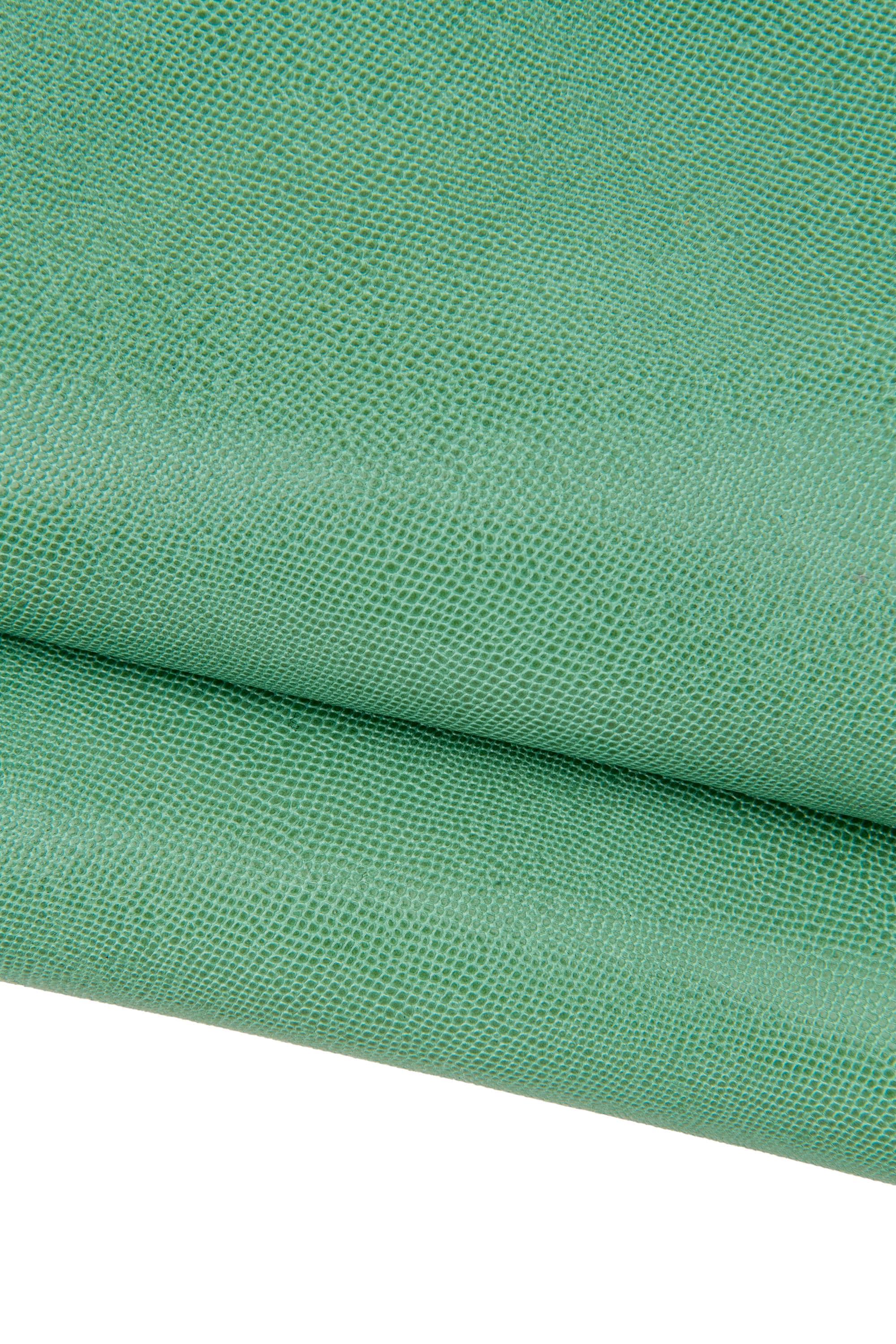 Sage green lizard embossed leather hide, mint goat skin fine reptile print glossy soft 0.8 mm B17642-ST La Garzarara
