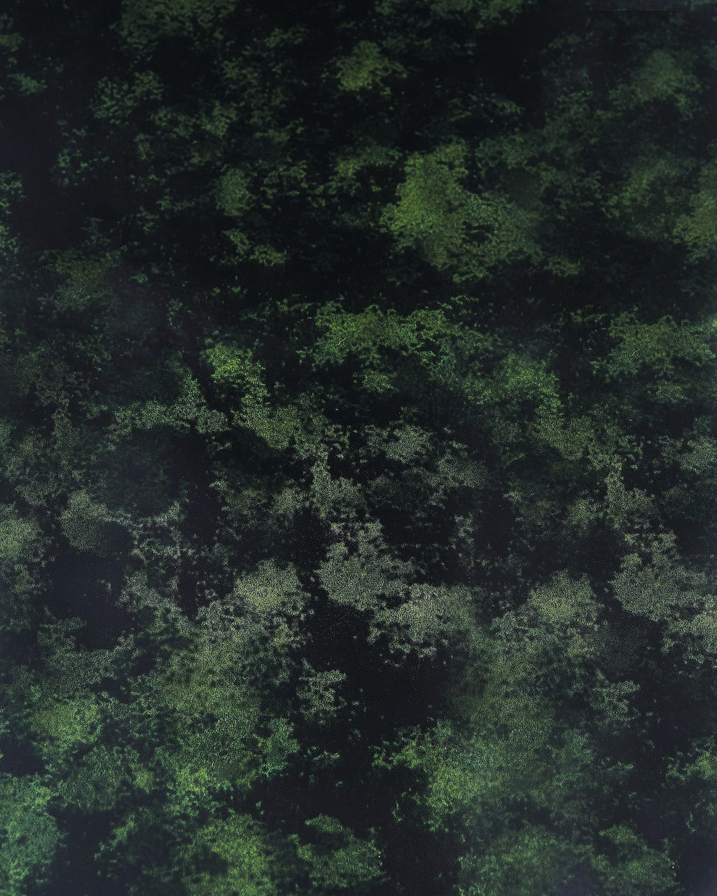 PEARLIZED patent leather hide, green black PRINTED cowhide, luxurious calfskin for hobbyists B17901-ST La Garzarara
