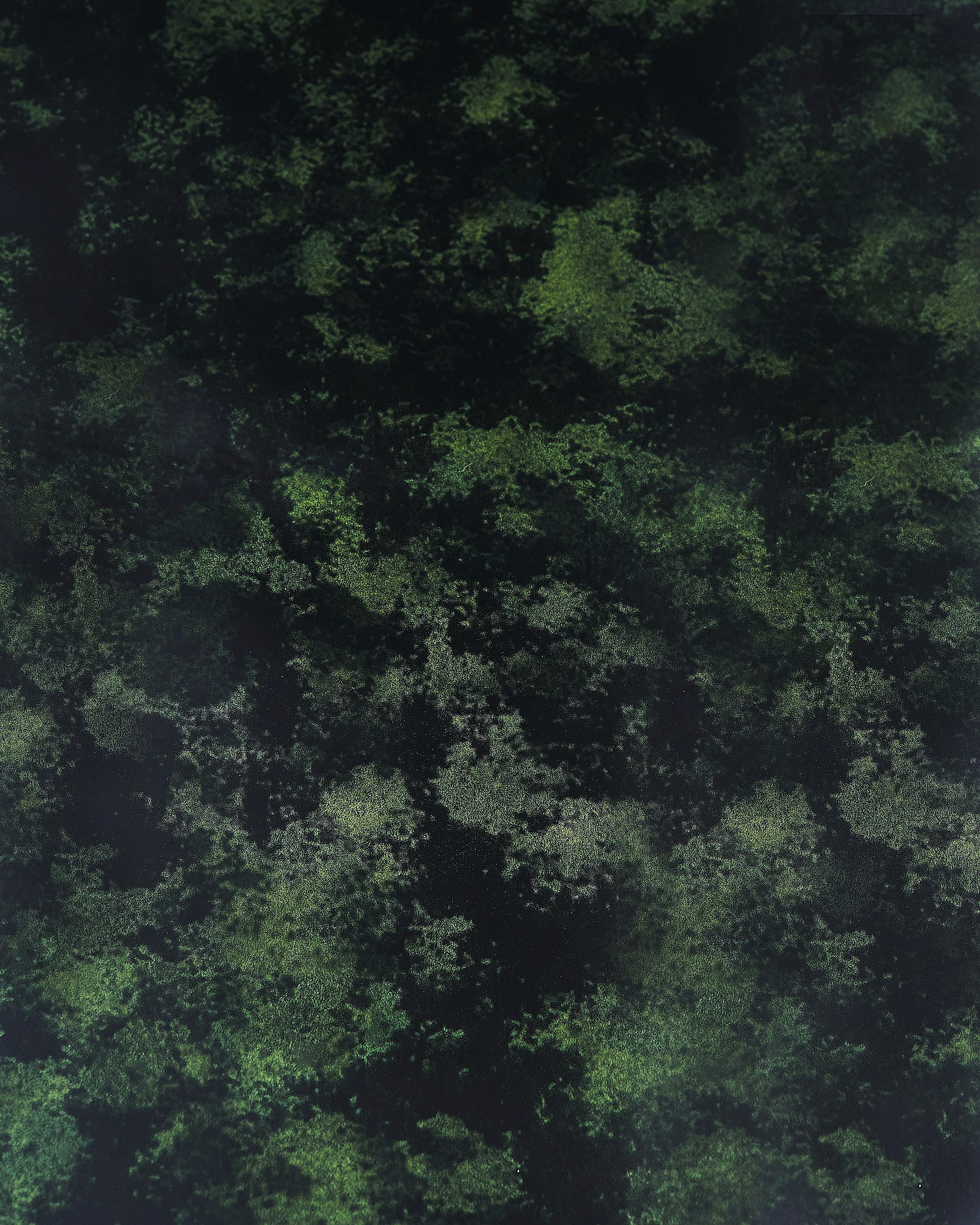 PEARLIZED patent leather hide, green black PRINTED cowhide, luxurious calfskin for hobbyists B17901-ST La Garzarara