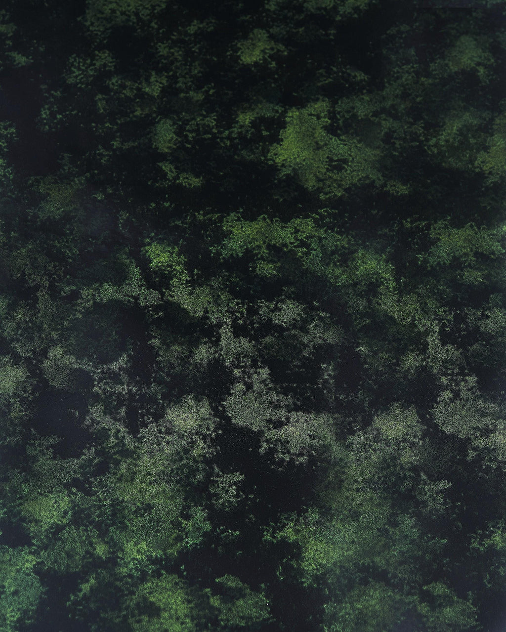 PEARLIZED patent leather hide, green black PRINTED cowhide, luxurious calfskin for hobbyists B17901-ST La Garzarara