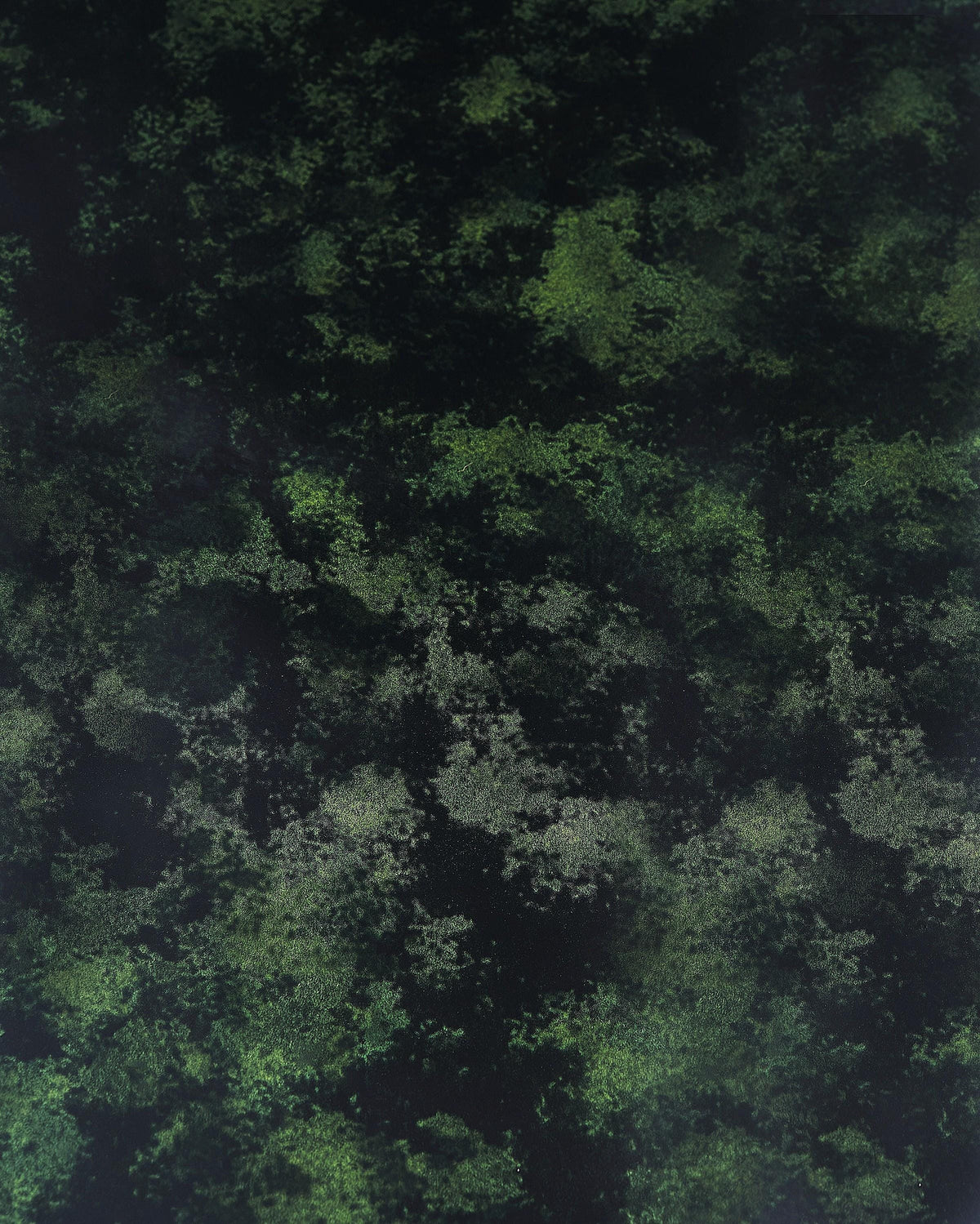 PEARLIZED patent leather hide, green black PRINTED cowhide, luxurious calfskin for hobbyists B17901-ST La Garzarara