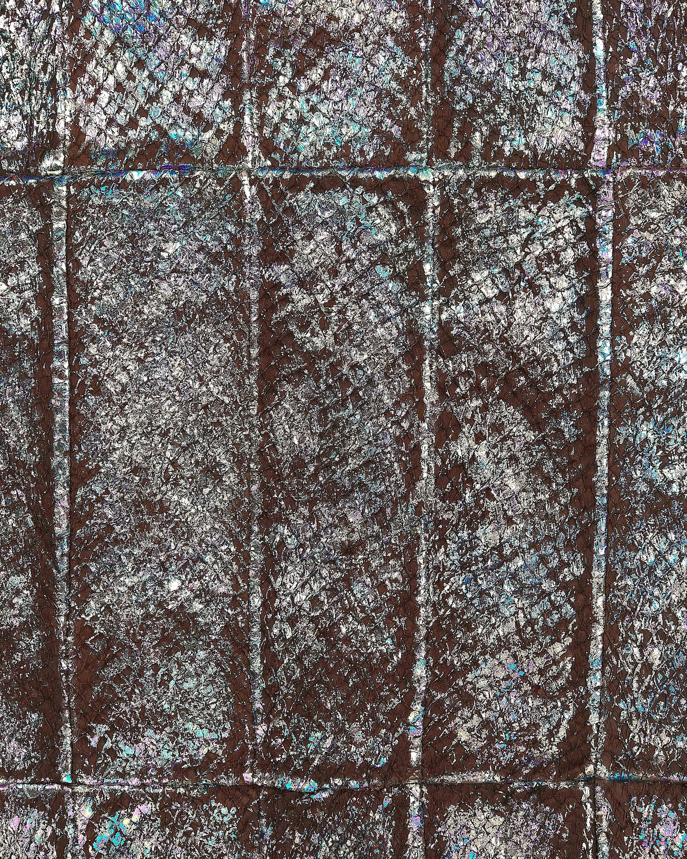Brown HOLOGRAPHIC leather hide, multicolor metallic print on SALMON band, soft material B17899-MT(st) La Garzarara