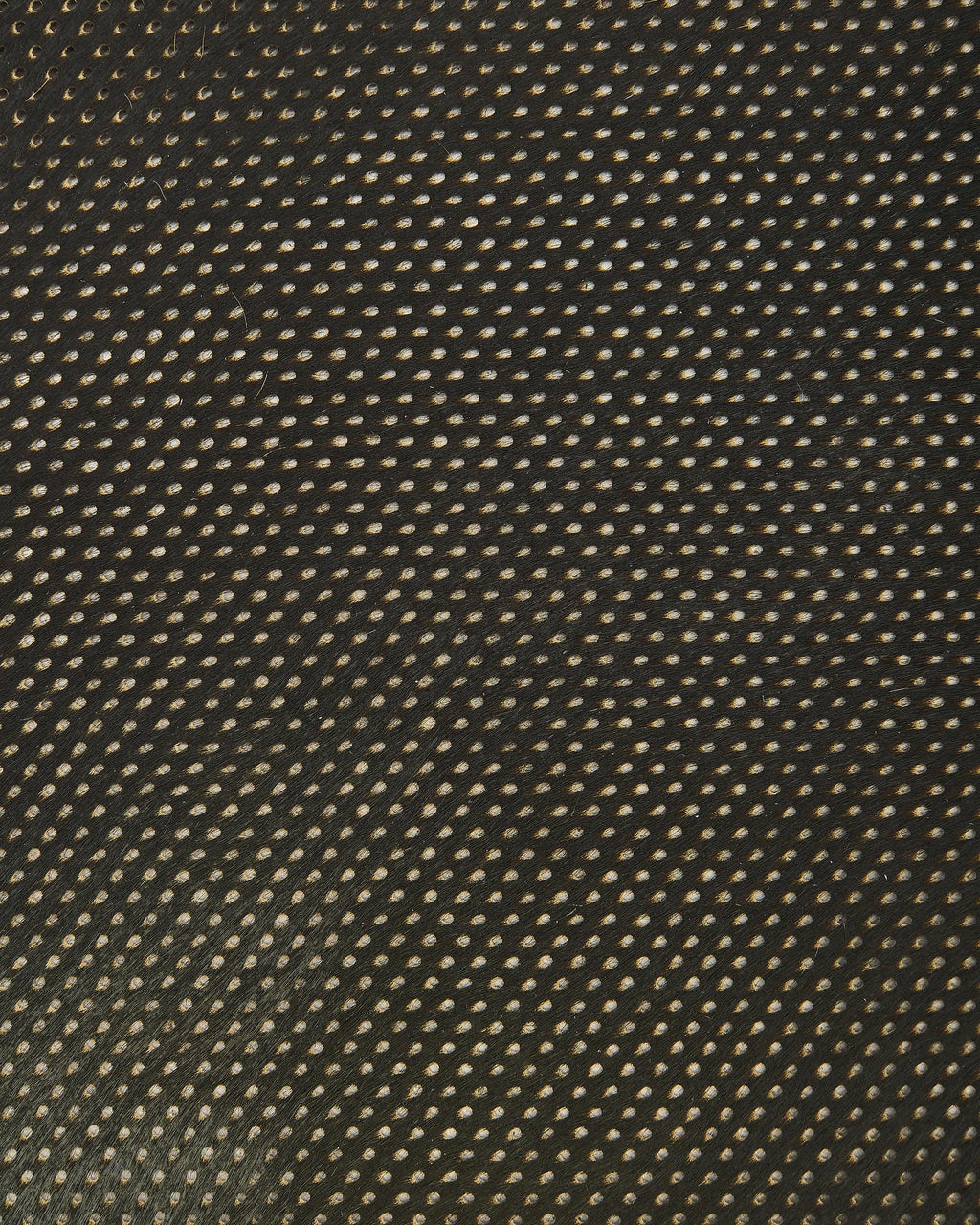 Green Hair-on cow Leather hide , Perforated Pony skin, Natural Laser Haircalf Leather for, Upholstery, DIY Projects B18113-CV La Garzarara