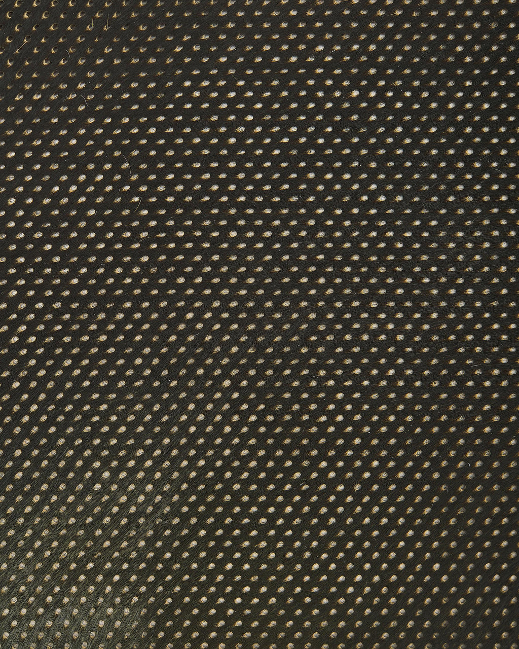 Green Hair-on cow Leather hide , Perforated Pony skin, Natural Laser Haircalf Leather for, Upholstery, DIY Projects B18113-CV La Garzarara