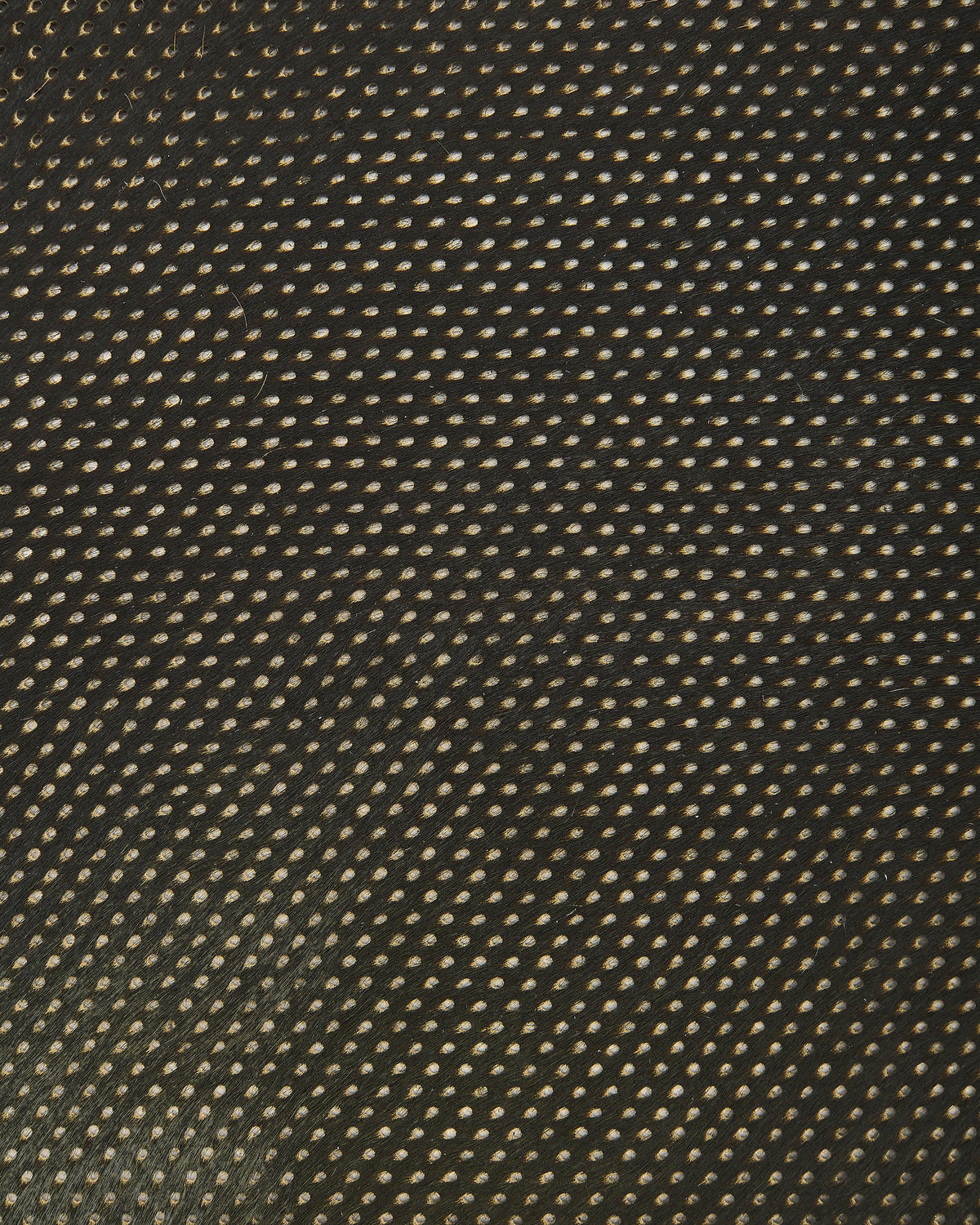 Green Hair-on cow Leather hide , Perforated Pony skin, Natural Laser Haircalf Leather for, Upholstery, DIY Projects B18113-CV La Garzarara