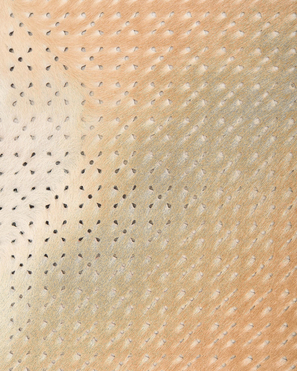 Perforated Pony Hair Leather Hide, Beige Hair-on Skin, Laser Cut Leather for Bags, Shoes, Upholstery and Crafts B18112-CV La Garzarara