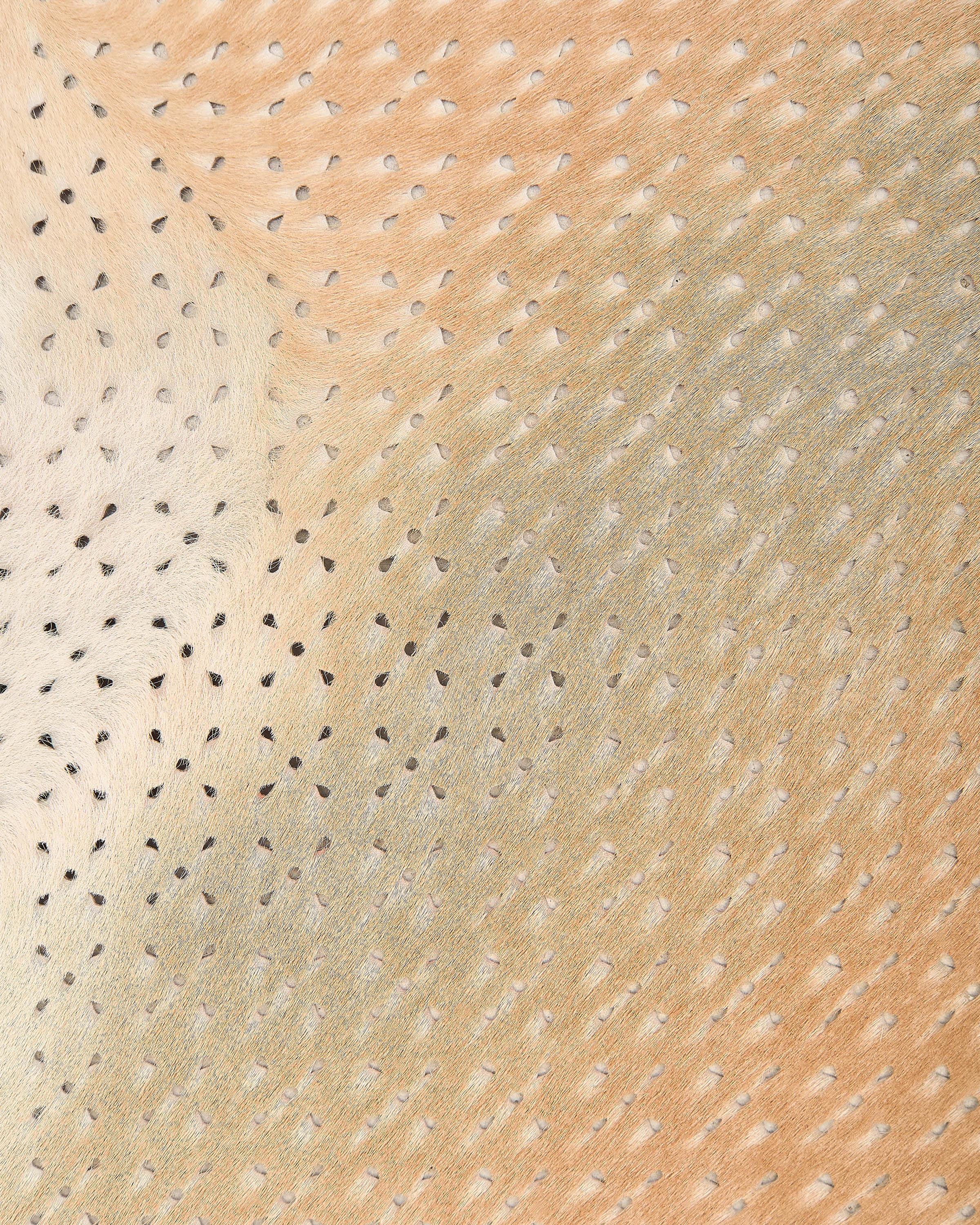 Perforated Pony Hair Leather Hide, Beige Hair-on Skin, Laser Cut Leather for Bags, Shoes, Upholstery and Crafts B18112-CV La Garzarara