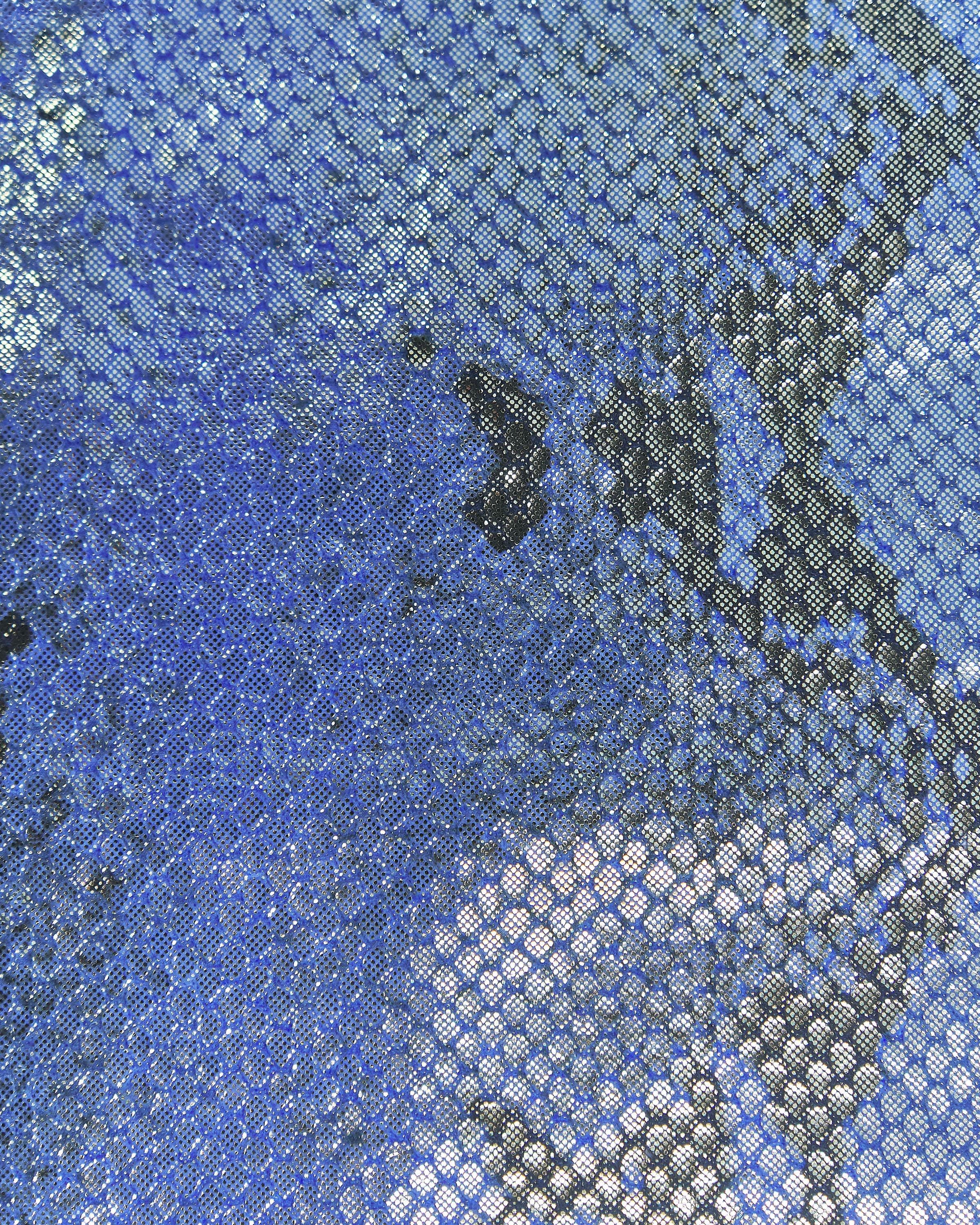 Shimmer Snake Leather hides, Metallic reptile skins, Soft snakeskin Leather for Handbags B17966-MT La Garzarara