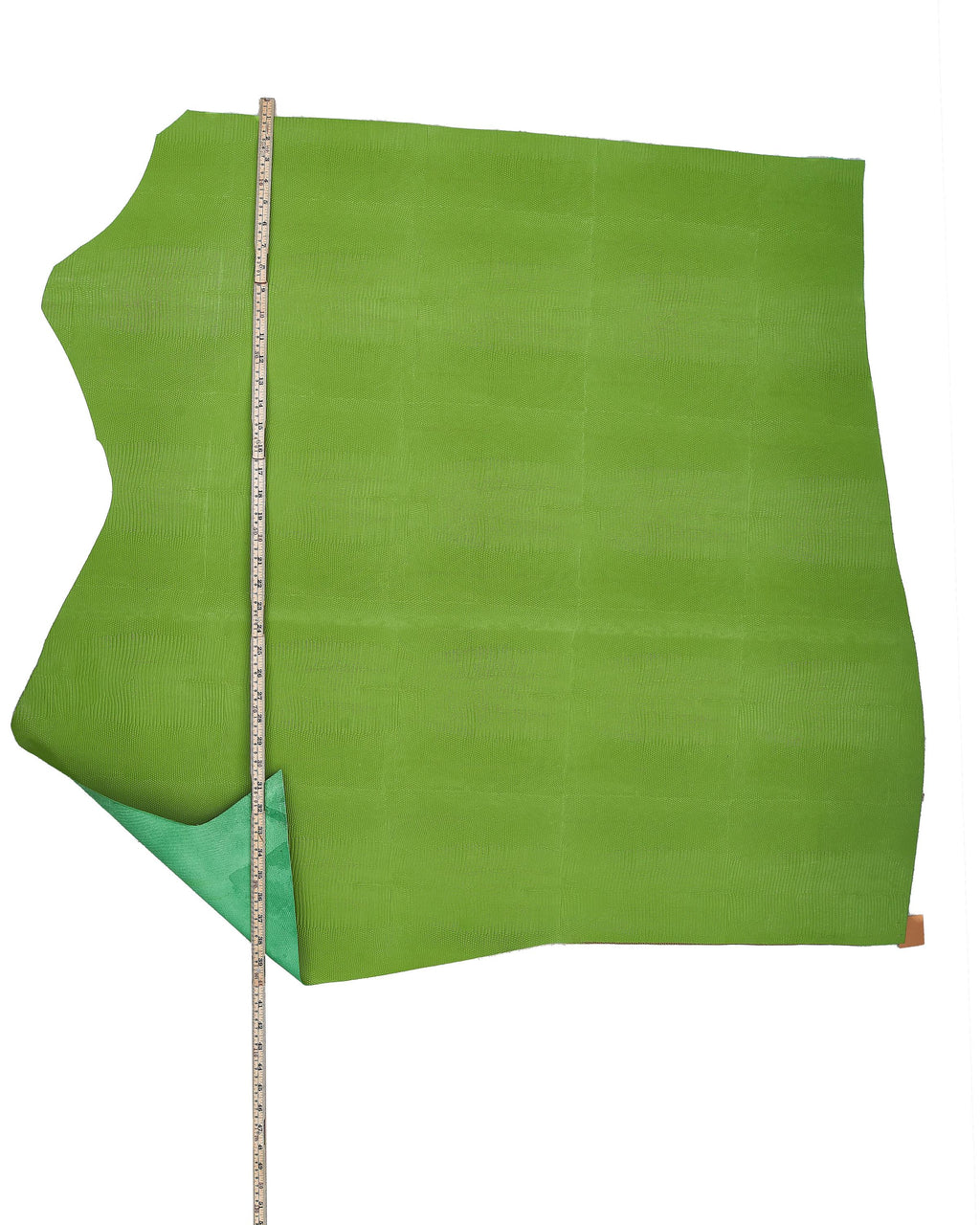 Green LIZARD leather hide, semi glossy reptile embossed cowhide, reptile printed calfskin, quite STIFF 1.0-1.2 mm B17962-ST La Garzarara