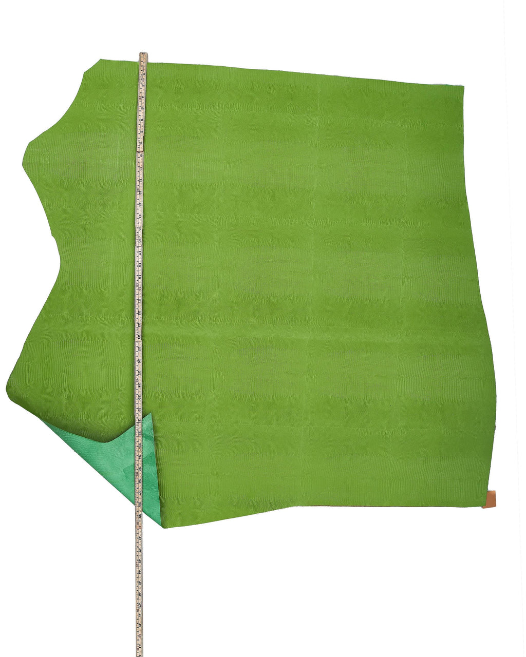 Green LIZARD leather hide, semi glossy reptile embossed cowhide, reptile printed calfskin, quite STIFF 1.0-1.2 mm B17962-ST La Garzarara