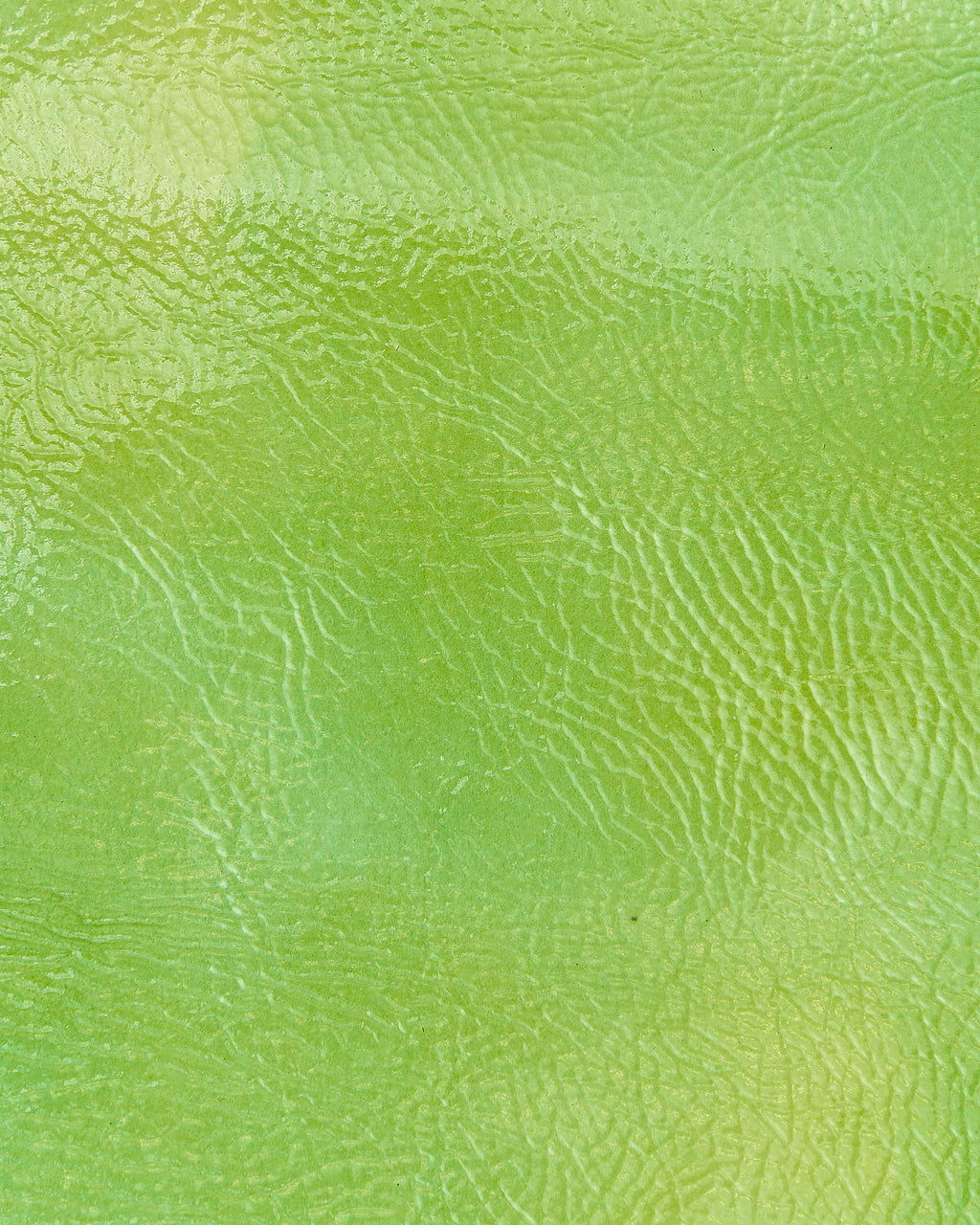 Glossy Lime leather skin, WRINKLED yellow green soft patent goatskin, supple hide for diy projects B18173-VT La Garzarara