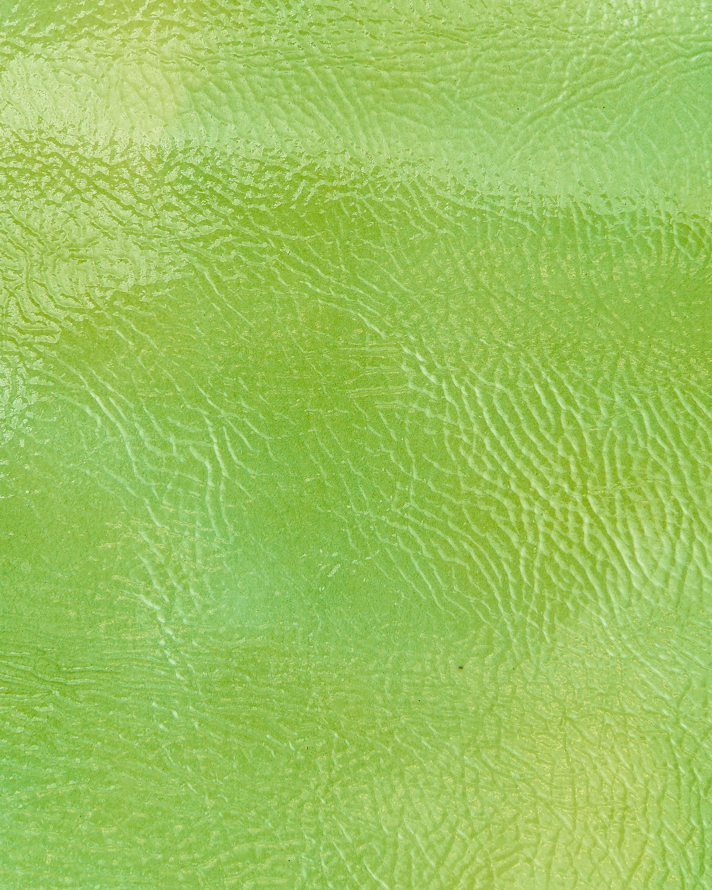 Glossy Lime leather skin, WRINKLED yellow green soft patent goatskin, supple hide for diy projects B18173-VT La Garzarara