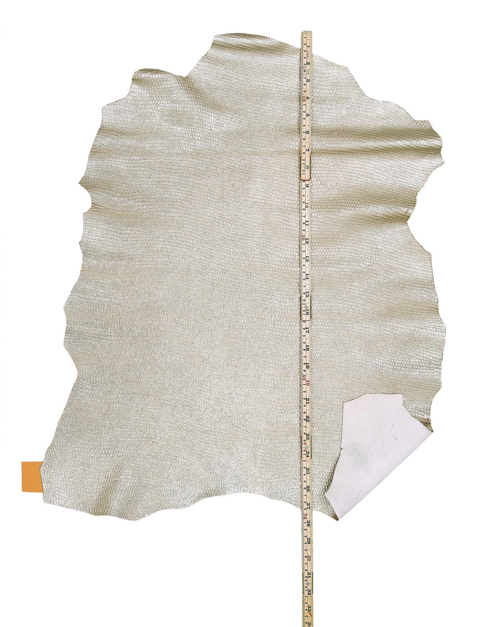 Light gold textured leather skin, soft METALLIC goatskin, reptile printed hide for hobbyists B18172-MT(st) La Garzarara