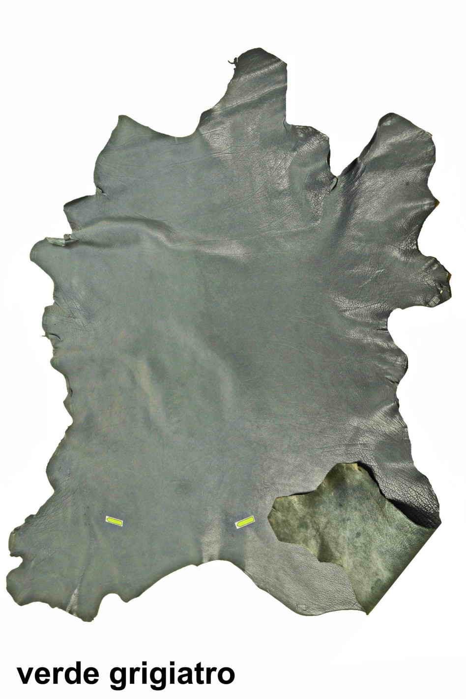 Greyish green leather skin, glossy goatskin - irregular grain - sporty soft hide for crafters b18822-tu