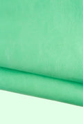 Aqua GLOSSY leather skin, acquamarine soft goatskin, grainy light green goat for hobbyists B19092-TU La Garzarara