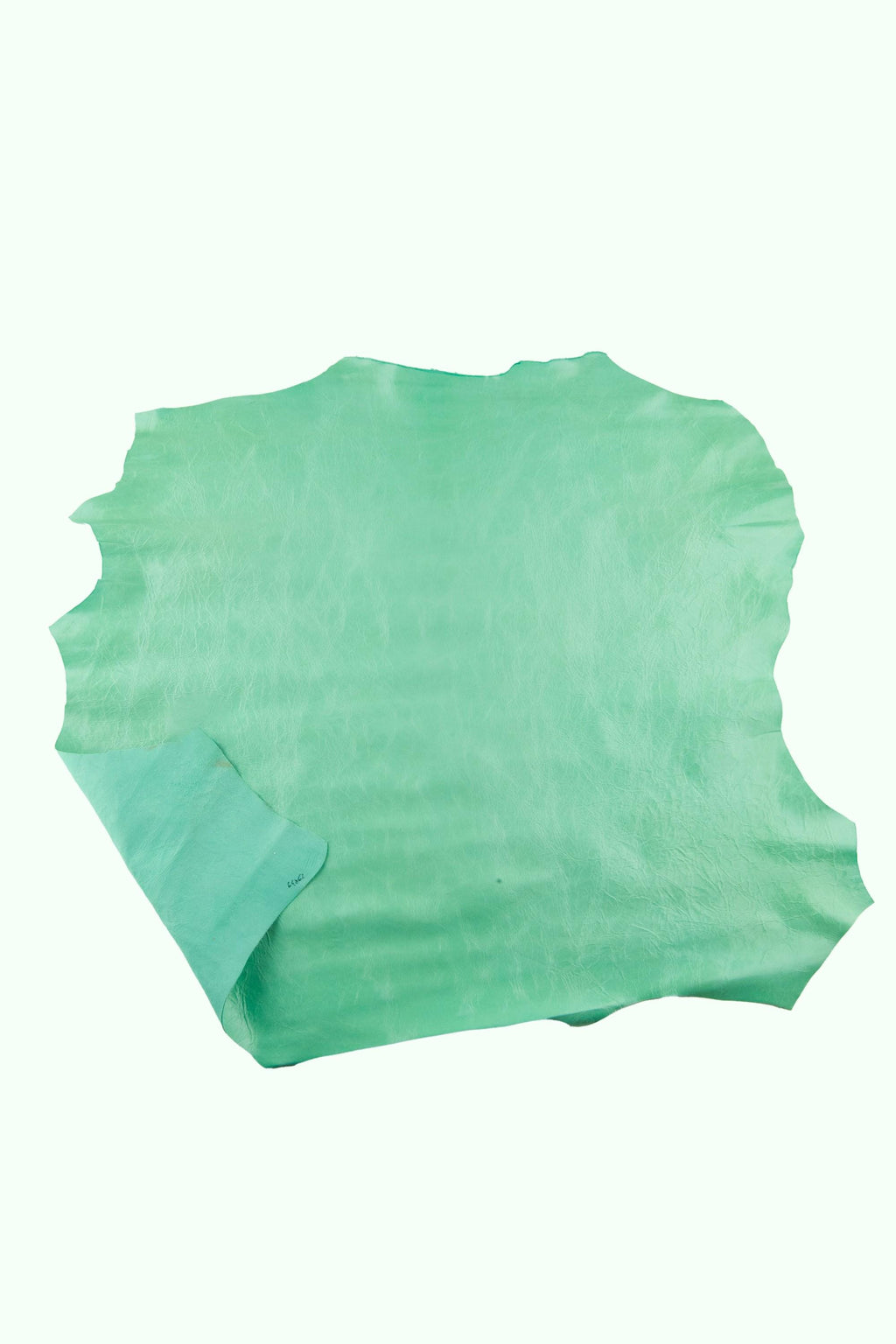 Aqua GLOSSY leather skin, acquamarine soft goatskin, grainy light green goat for hobbyists B19092-TU La Garzarara