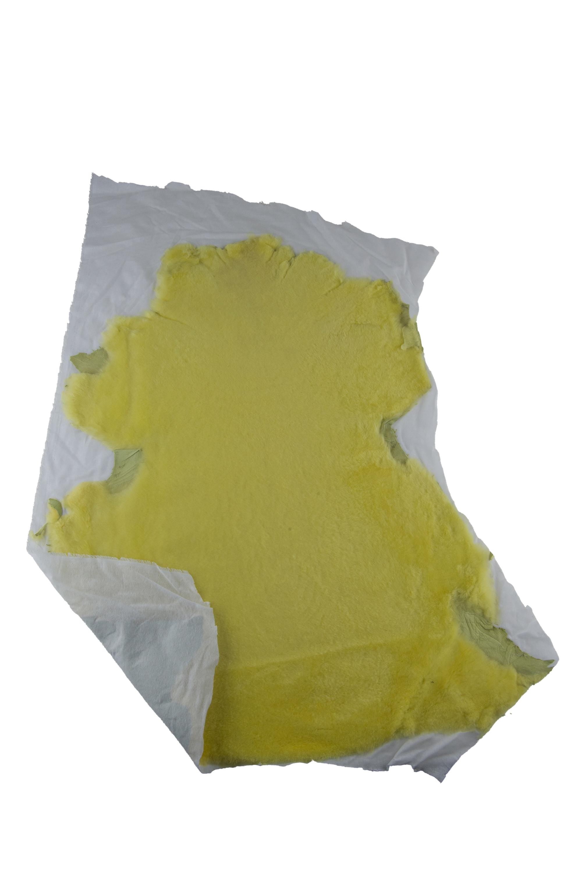 Yellow hair on sheepskin lambskin, SHEARLING fur hairy sheep, soft leather, streight hair, back matched to a white cotton fabric B19370-MNT