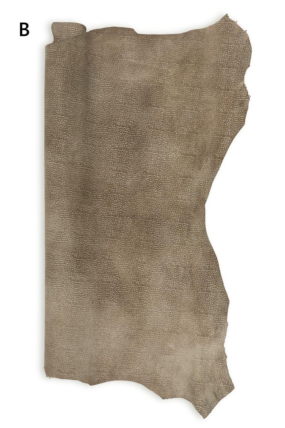Embossed SUEDE leather skin, GRAINY printed goatskin, soft material in different shades of brown, ideal for crafting B19299-TU La Garzarara