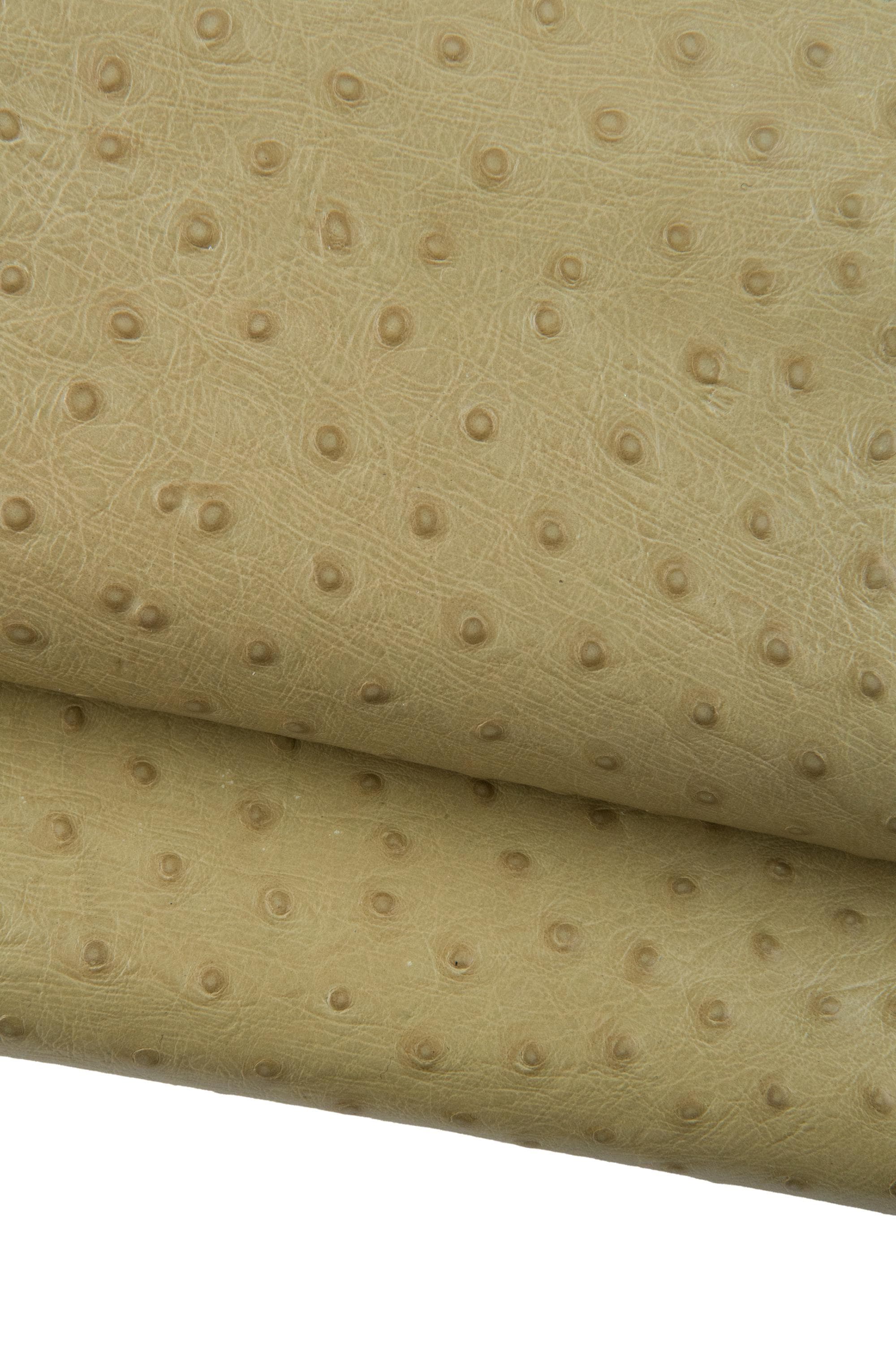 Può includere: Primo piano di pelle di struzzo color beige con una caratteristica trama a grana. La pelle ha un colore uniforme ed è ripiegata, rivelando il lato inferiore. La superficie è punteggiata da piccoli rilievi, caratteristici della pelle di struzzo.