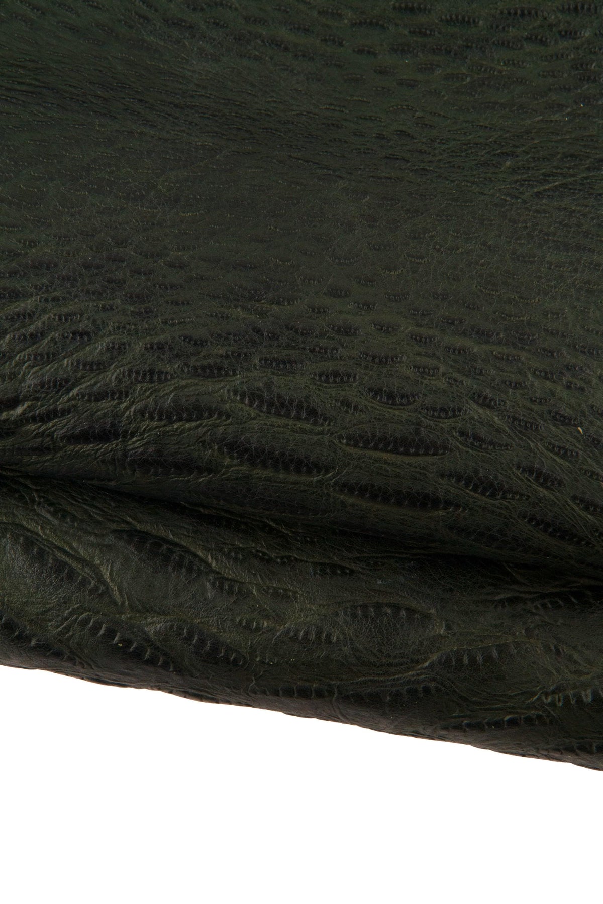 Può includere: Primo piano di pelle verde scuro con una superficie strutturata e fantasia. La pelle appare piegata, rivelando gli intricati dettagli del disegno in rilievo. Il colore è una tonalità di verde intenso e ricco.