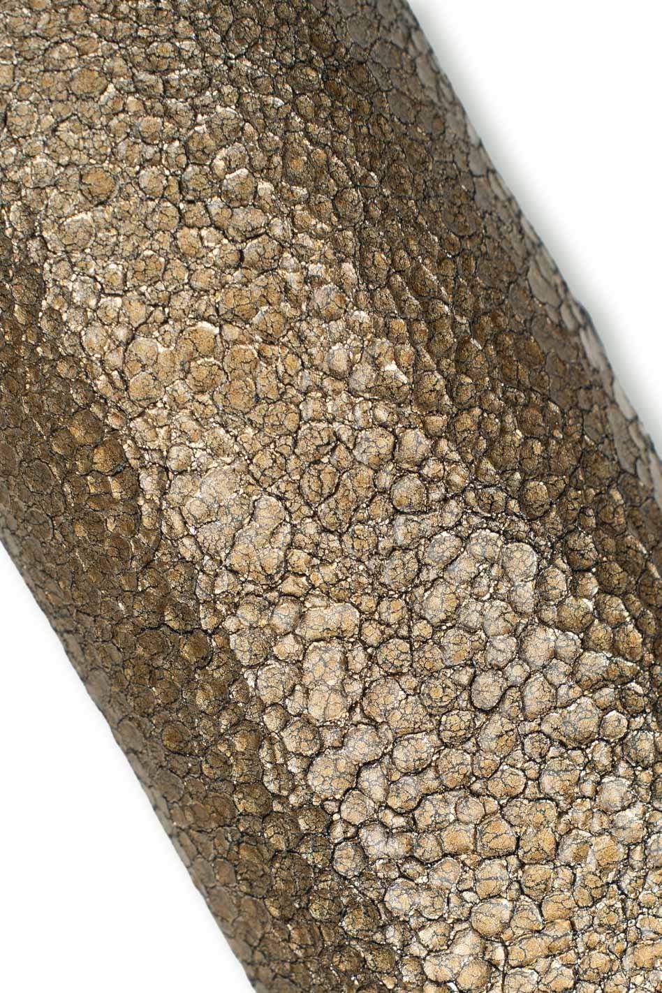 Bronze METALLIC leather skin, CRACKLE printed goatskin, glossy soft luxury material for artists B19593-MT(st) La Garzarara