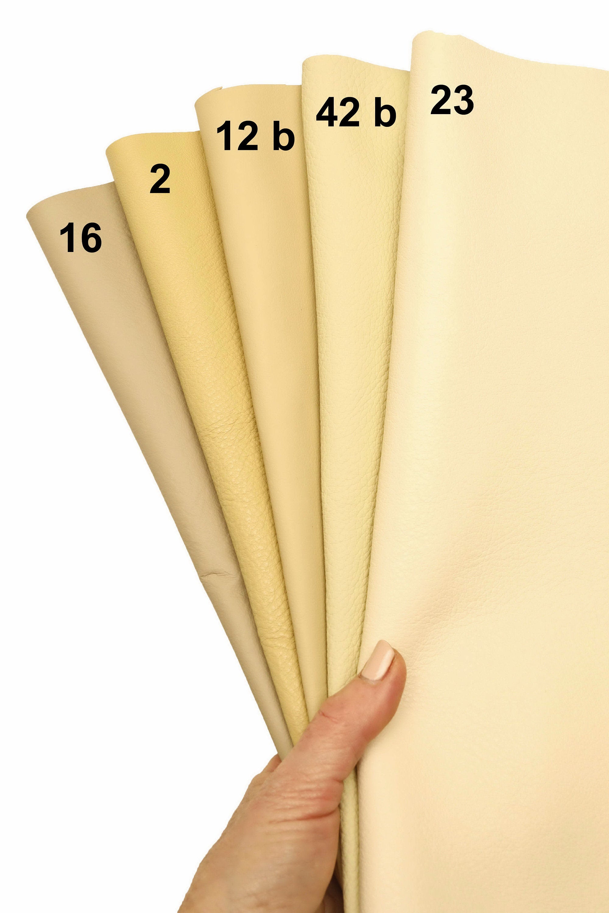 Può includere: Cinque pezzi di pelle in varie tonalità di crema, beige e giallo, disposti a ventaglio. I pezzi di pelle sono etichettati con i numeri: 16, 2, 12 b, 42 b e 23.