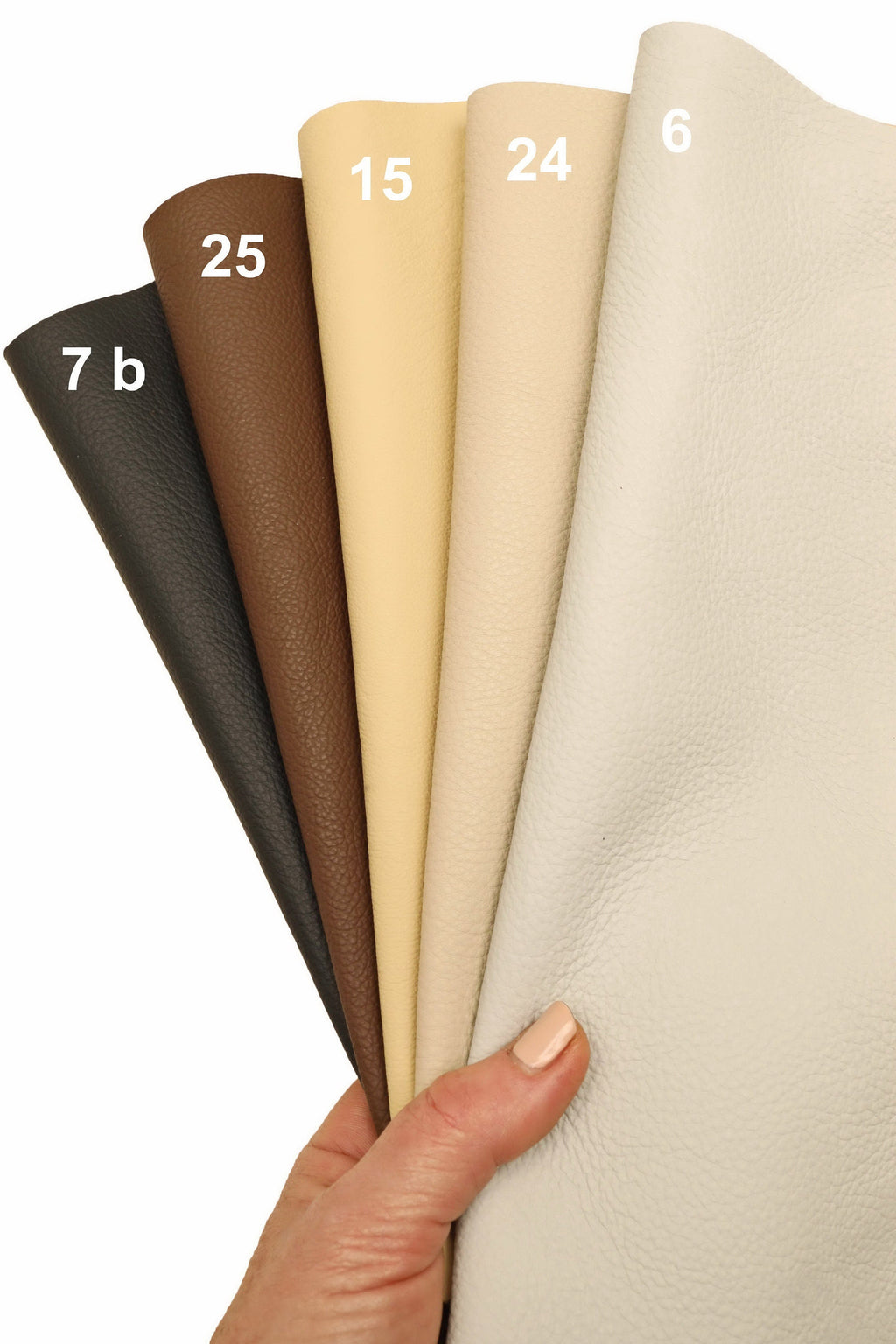 Può includere: Una mano tiene in mano un ventaglio di campioni di pelle in vari colori. I campioni sono numerati: 7 b, 25, 15, 24 e 6. I colori vanno dal marrone scuro al crema, con una superficie strutturata.