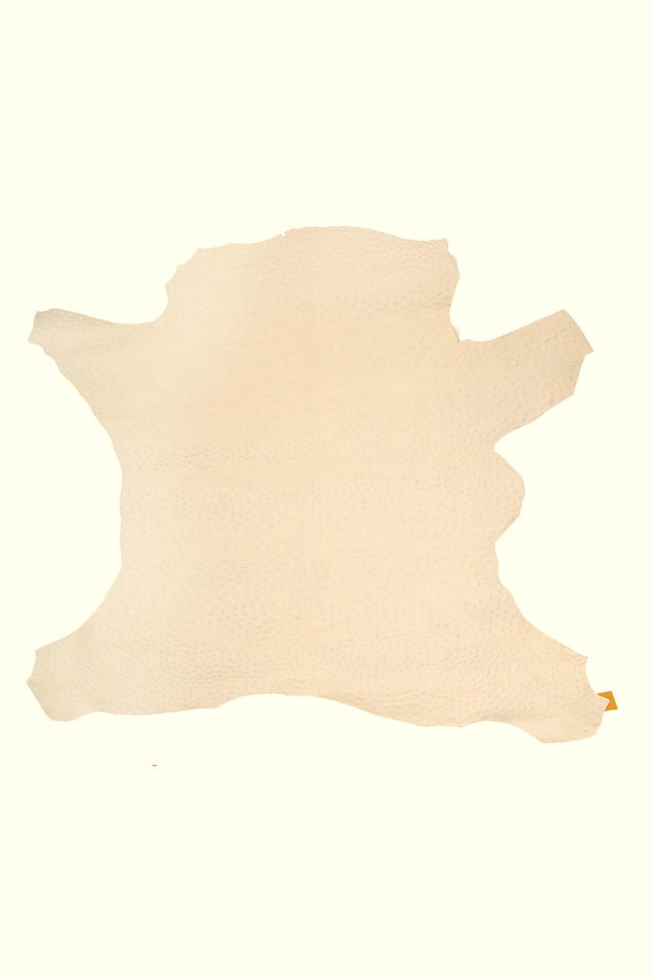 Cream OSTRICH embossed leather hide, milk white elegant printed calfskin, classic cowhide for crafters B19667-ST La Garzarara