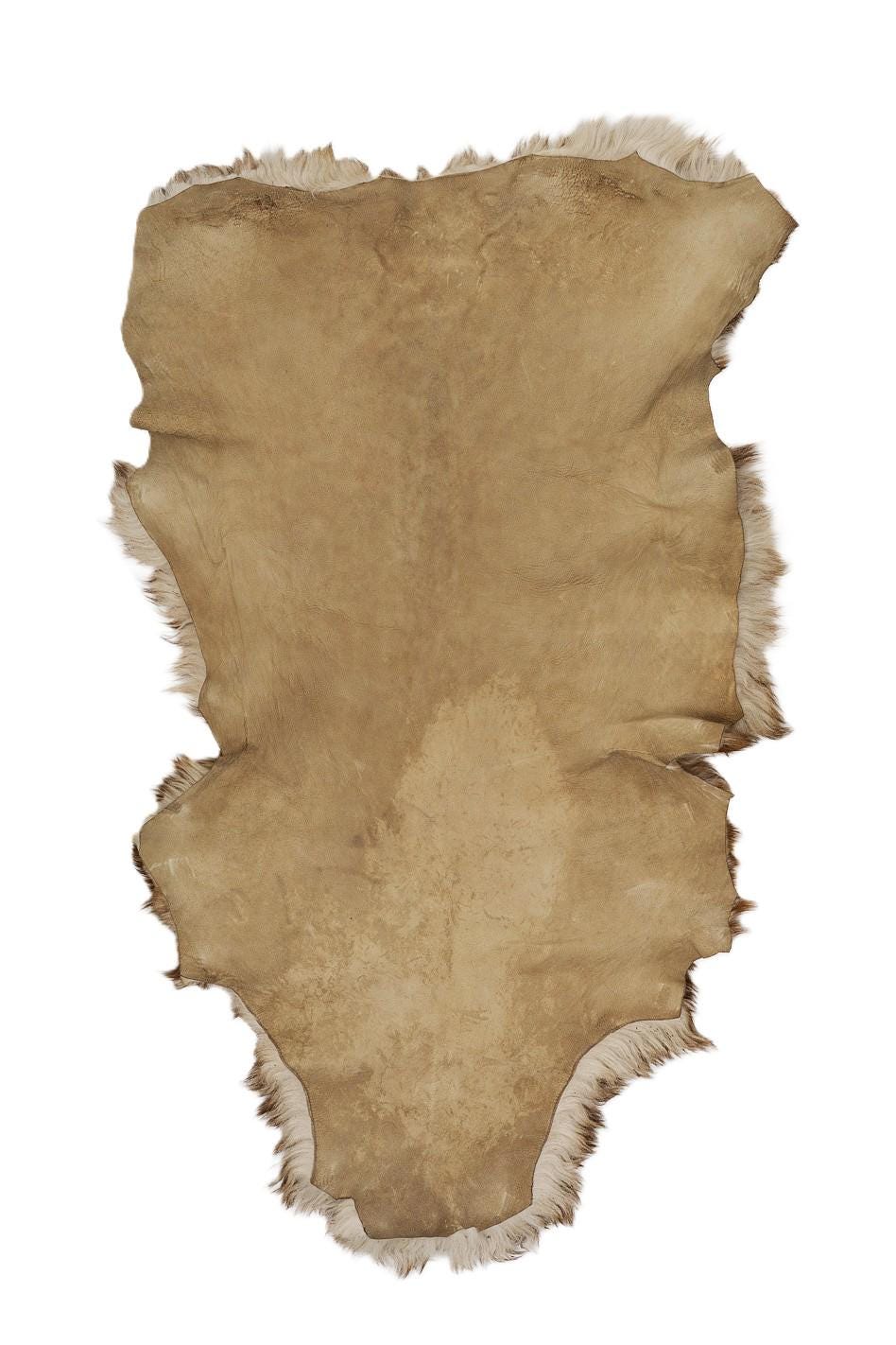 Brown/cream WOOL on leather - SHEARLING hairy sheepskin, curly hair , soft material for boots and garments B19639-MNT La Garzarara