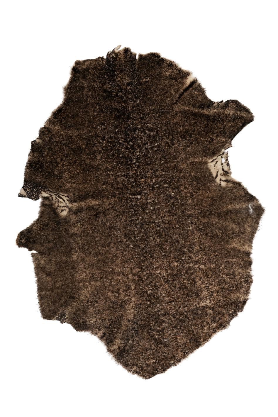 Brown shaded SHEARLING leather skin, short hair on sheepskin, plush WOOL material - back in beige leather B19649-MNT La Garzarara