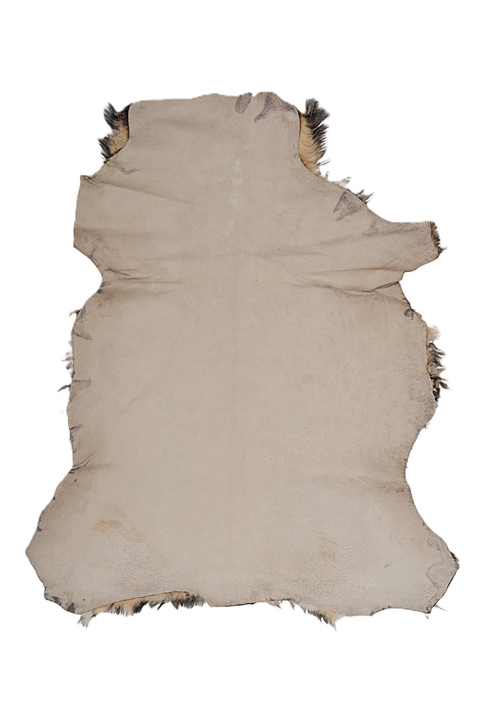 Brown shaded SHEARLING leather skin, plush hairy SHEEPSKIN, netural wool on leather, back in beige leather B19645-MNT La Garzarara